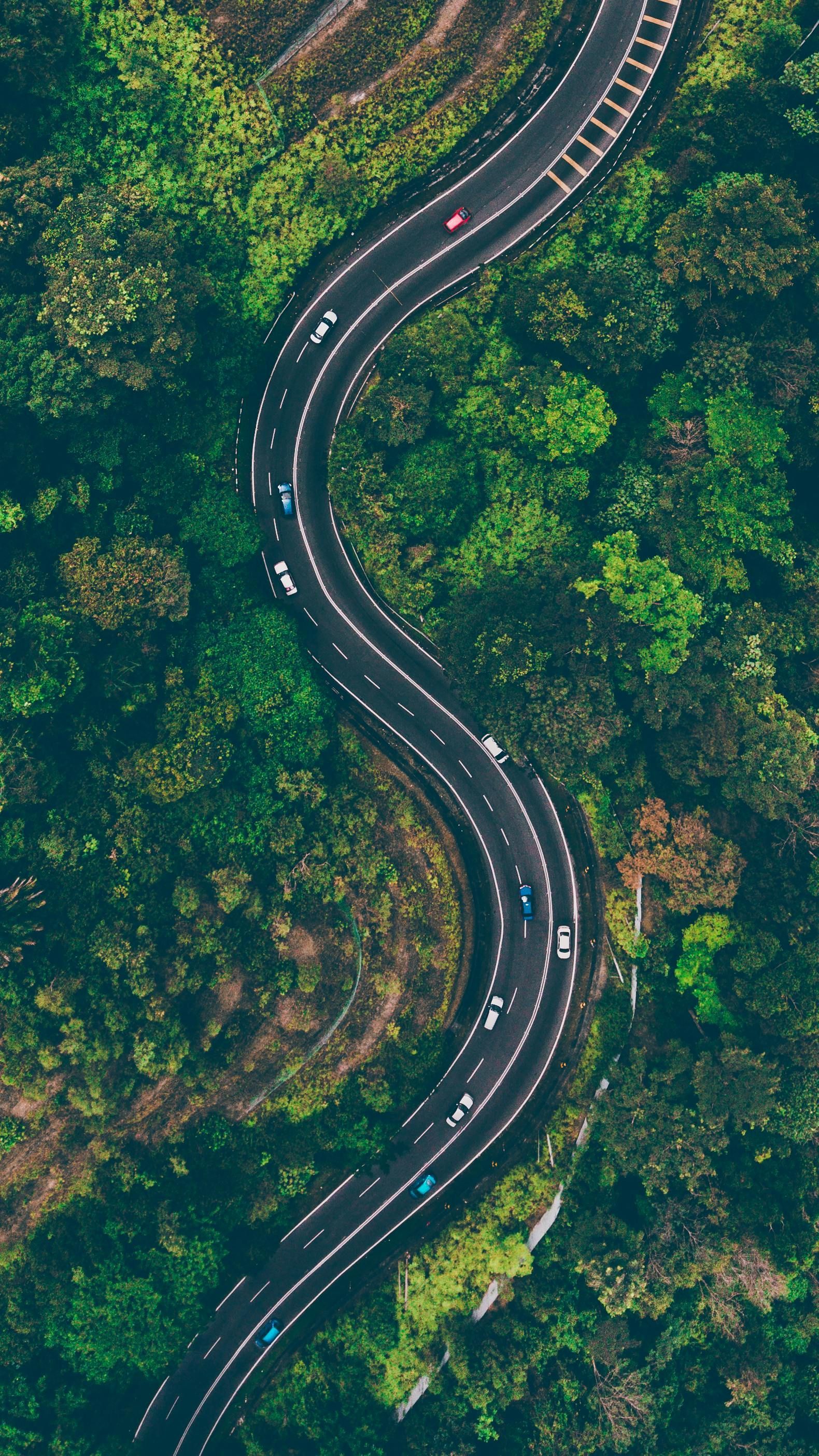 Beautiful scenic road going through the lush, green pine trees of South Dakota