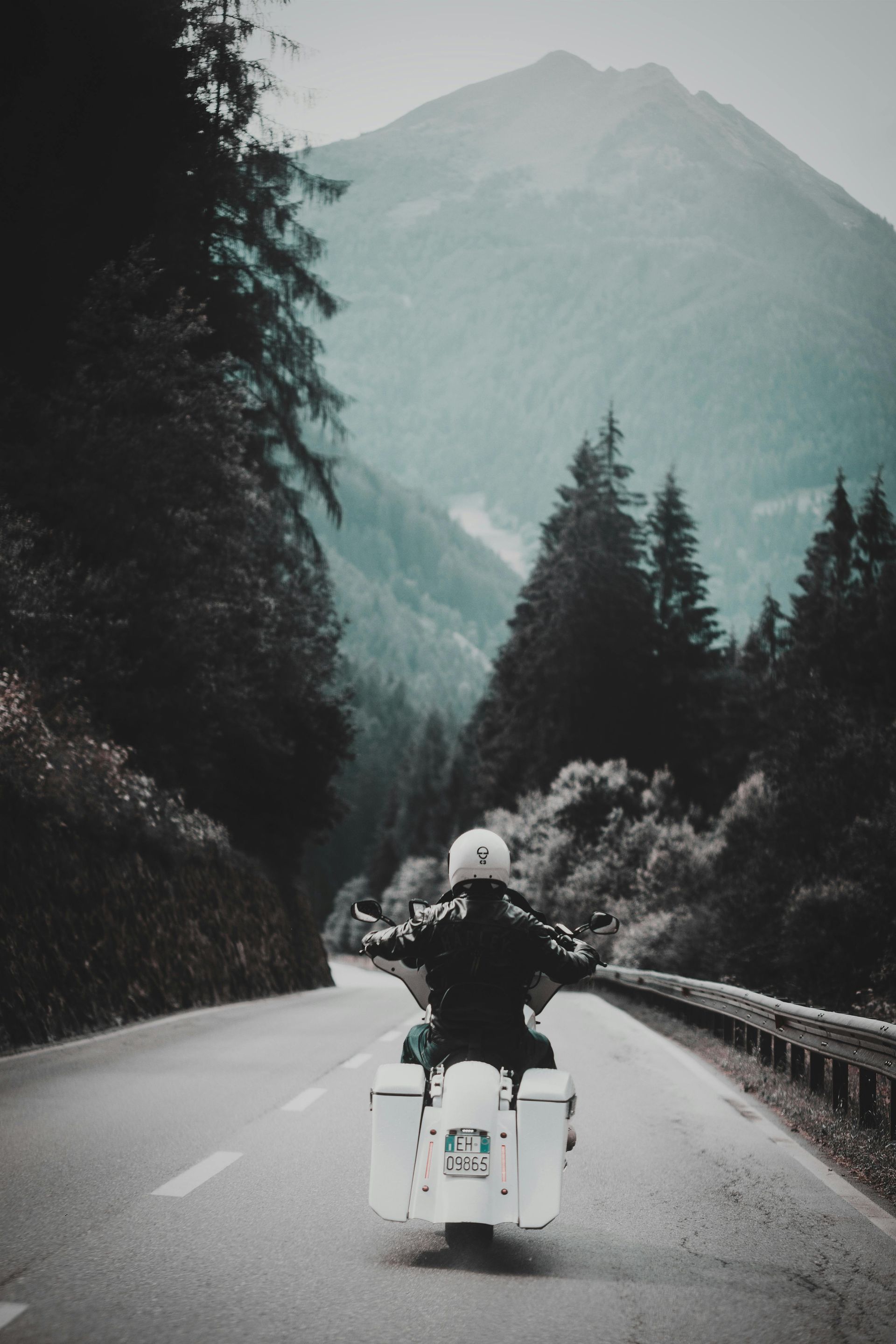 Person driving motorcycle throughout the black hills with pine trees and hills in the background