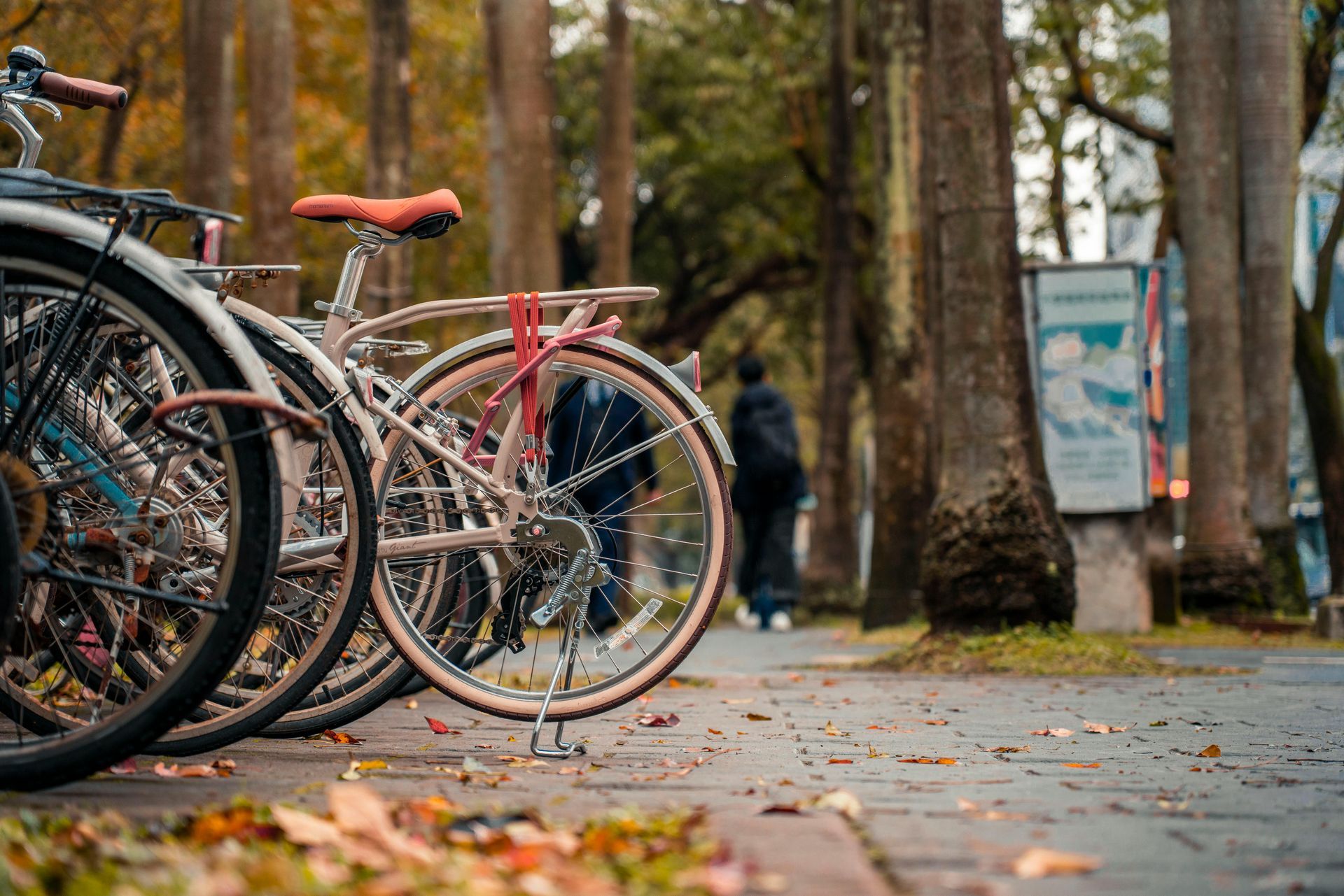 Group of bikes together with woods in the background