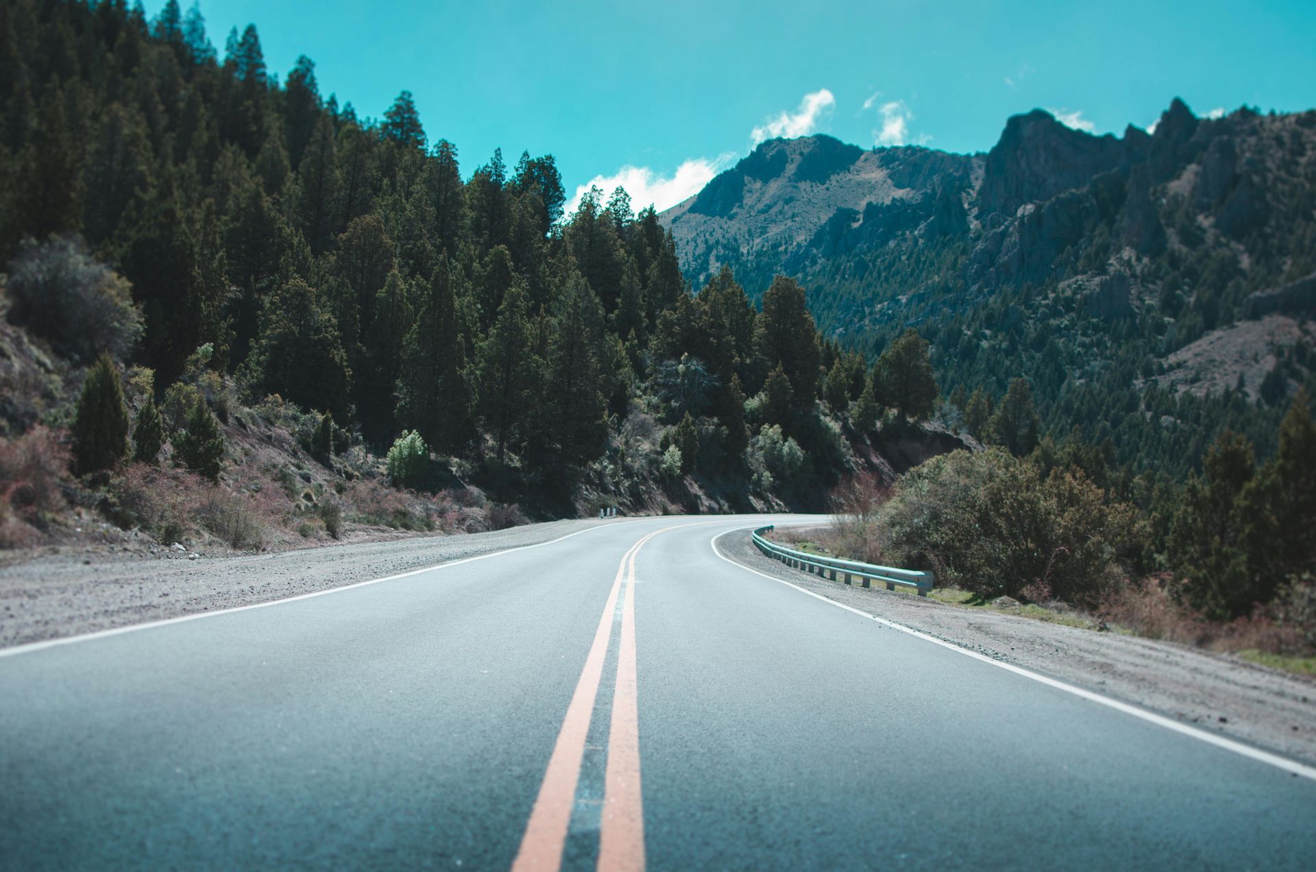 Road going through the Black Hills surrounding by pine trees and tall rocks