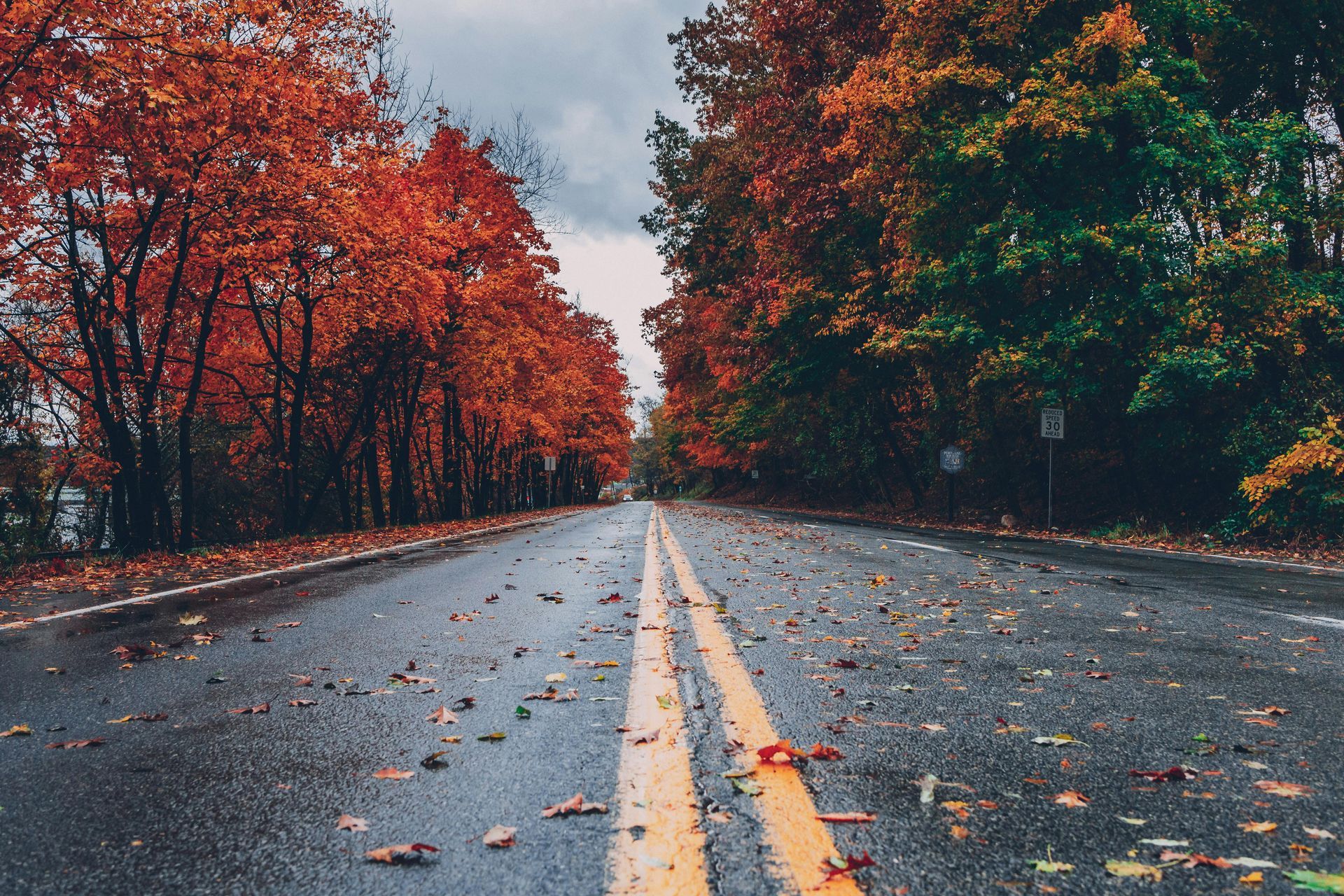 Wet street with changing color trees surrounding the street and fall leaves on the ground