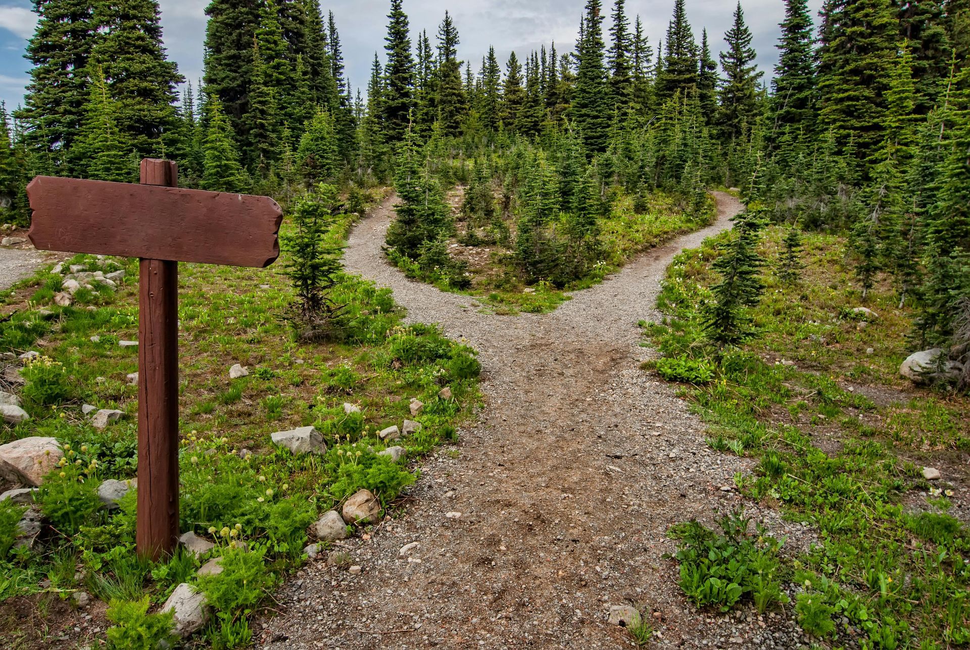 A dirt trail splitting off down two pathways into the woods