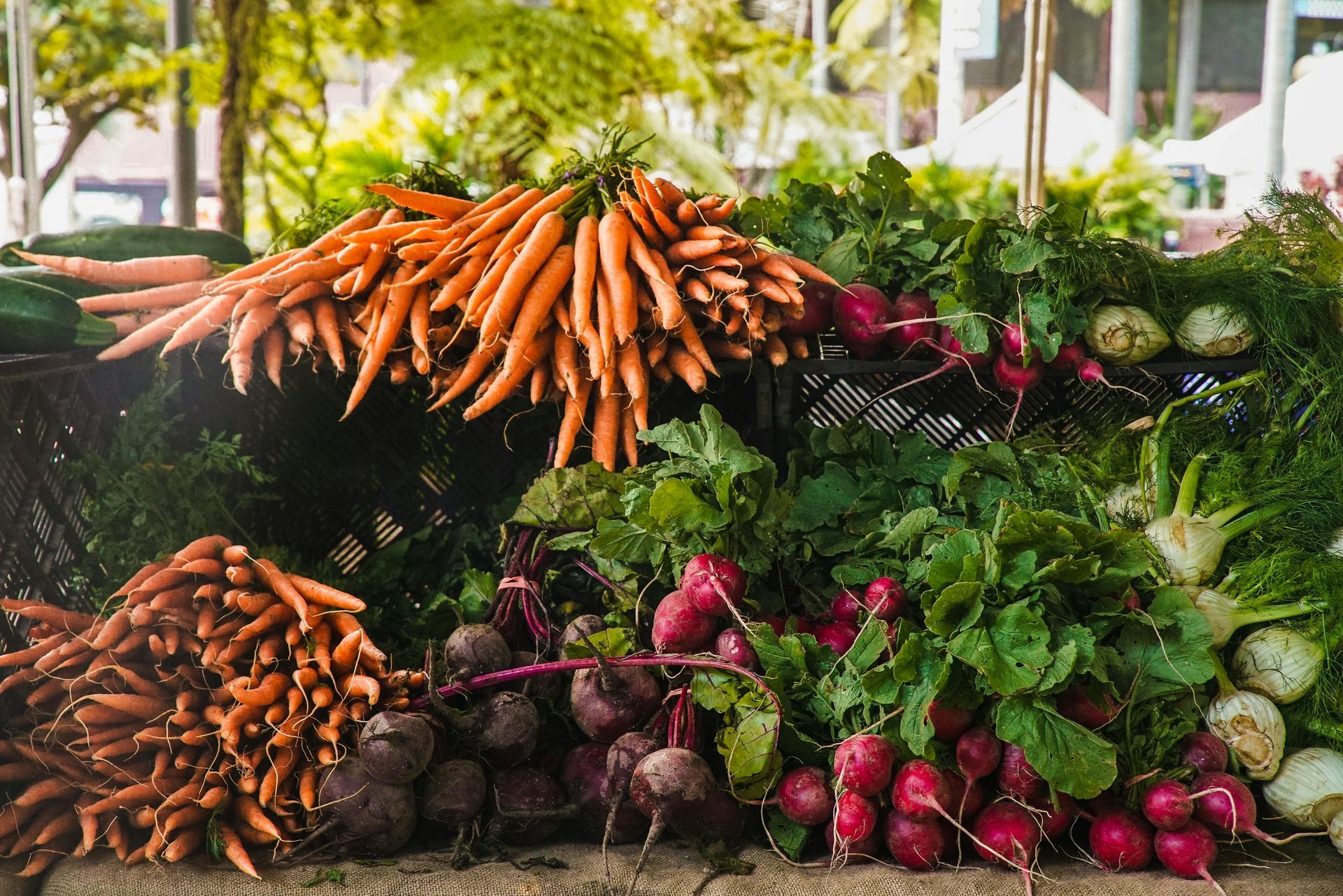 Bundle of fresh vegetables together at farmer's market for purchase