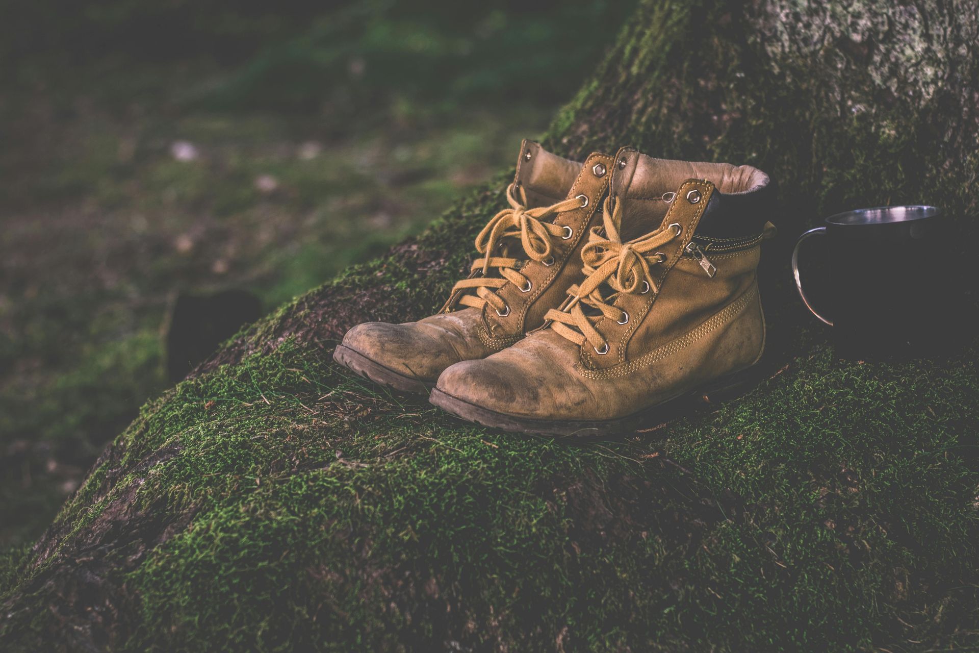 Proper outdoors boots outside, sitting on a mossy tree