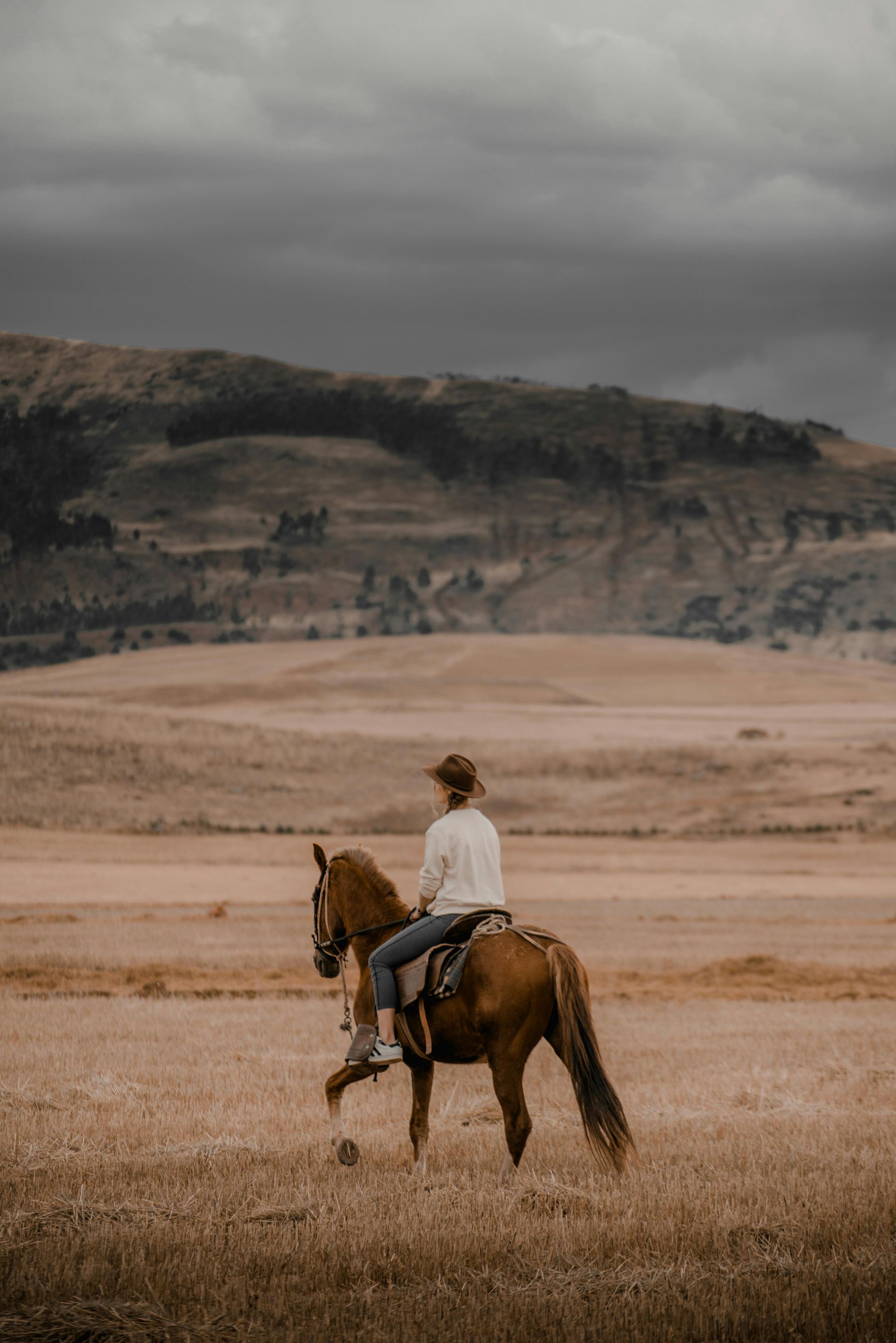 Woman solo riding a horse in a field with hills in the background and dark skies