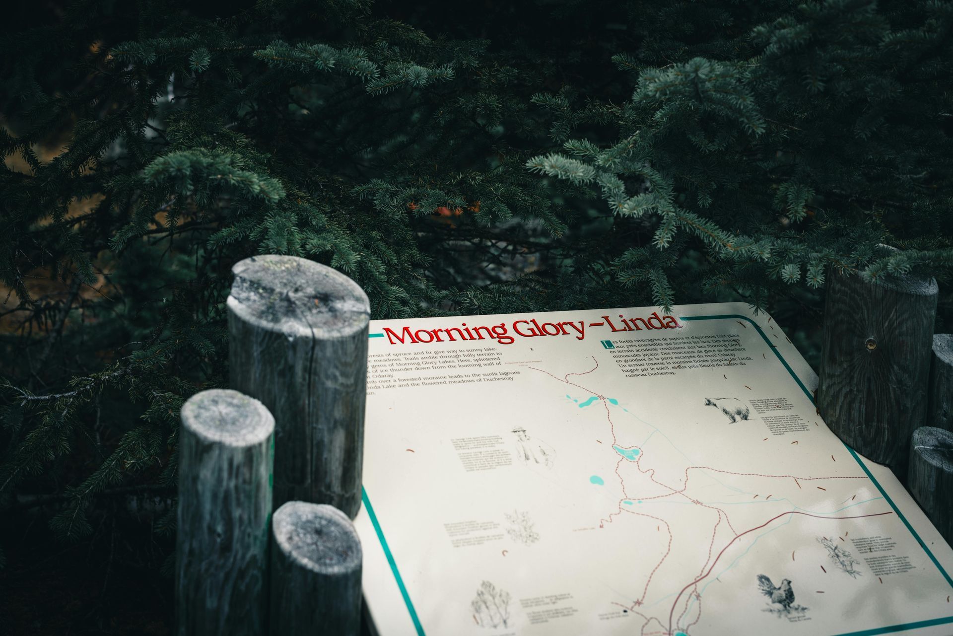 Outdoor trail map in the woods