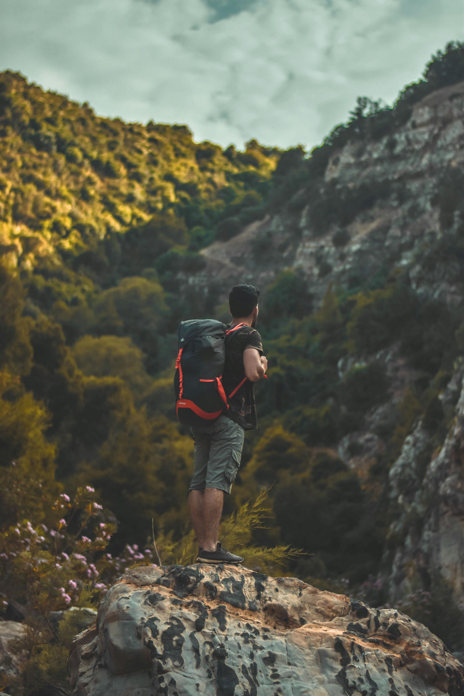 Person standing in the shadows of the hills with rocks and trees on the hills
