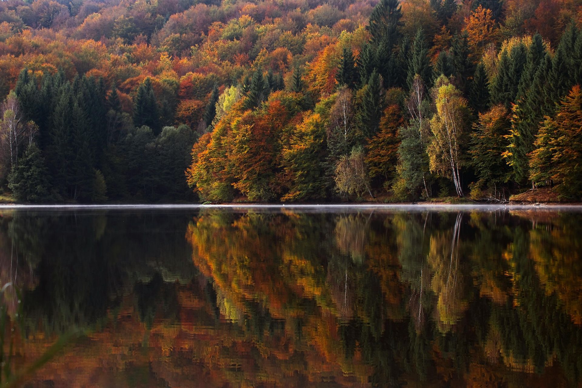 Autumn forest reflected in a calm lake with color changing trees on the water's edge