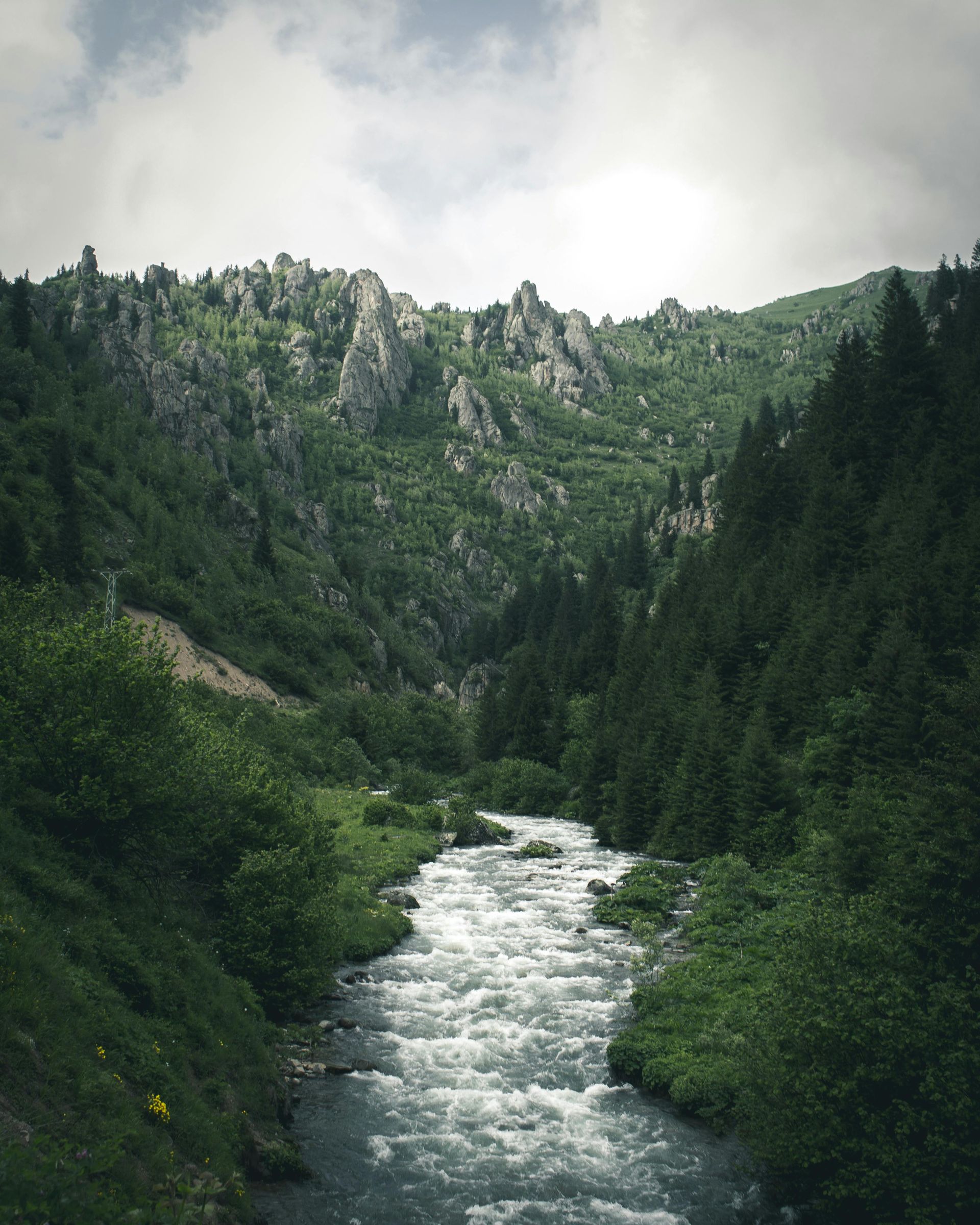 View of the Black Hills with tall rock formations and lush green pine trees