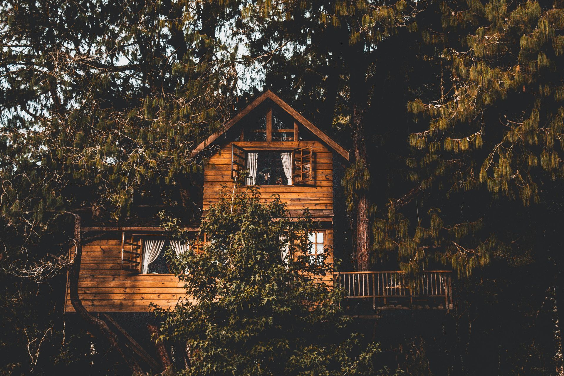 Large wooden cabin nestled among trees, with a deck and expansive windows.