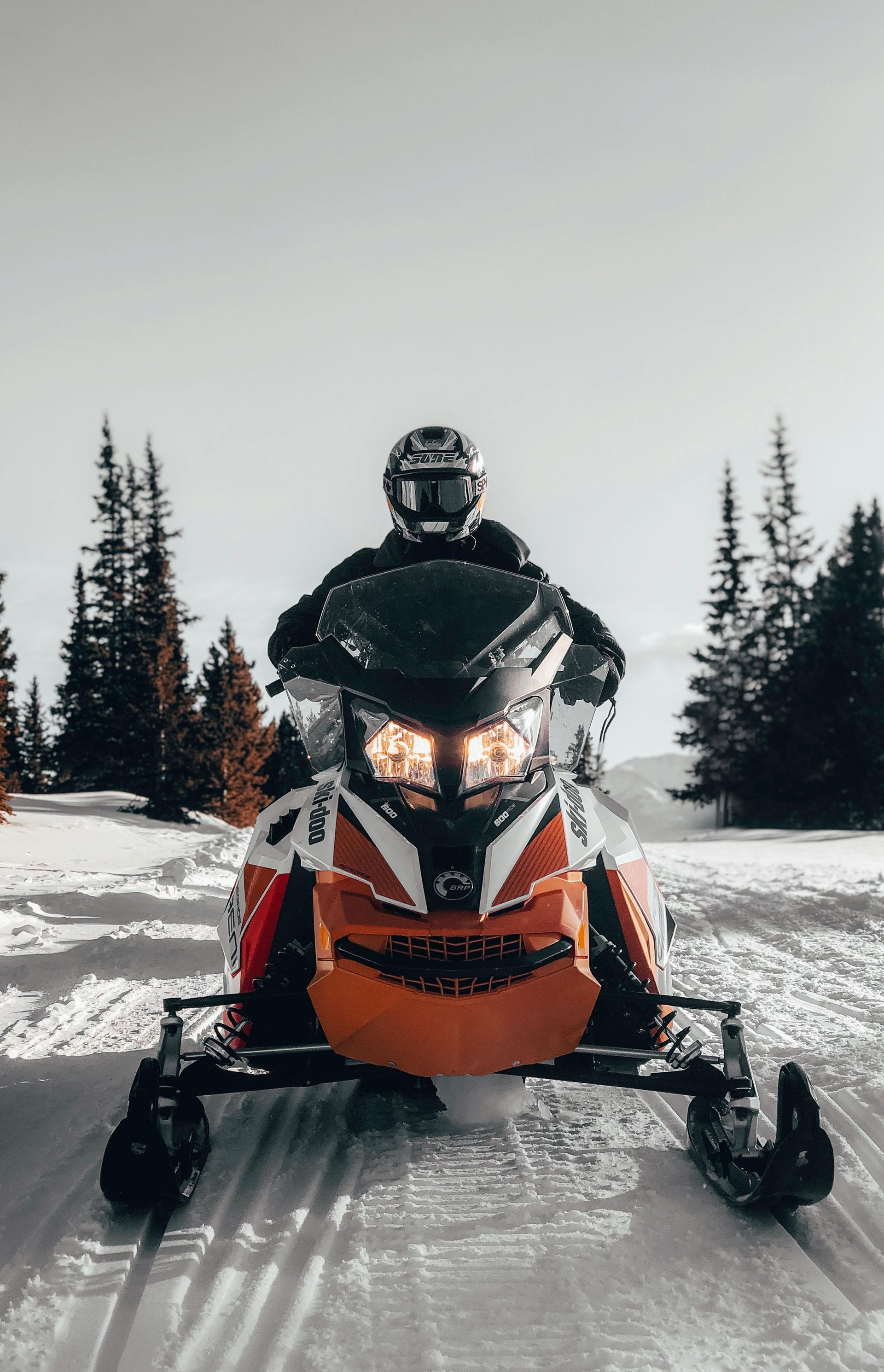 Person on snowmobile riding trailing in the snow through the Black Hills