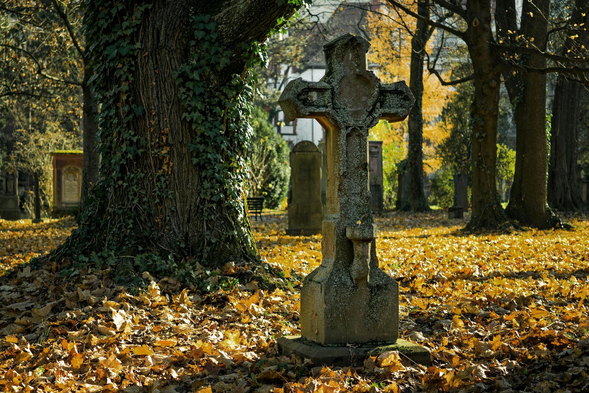 Antique cross at a quiet cemetery surrounded by nature
