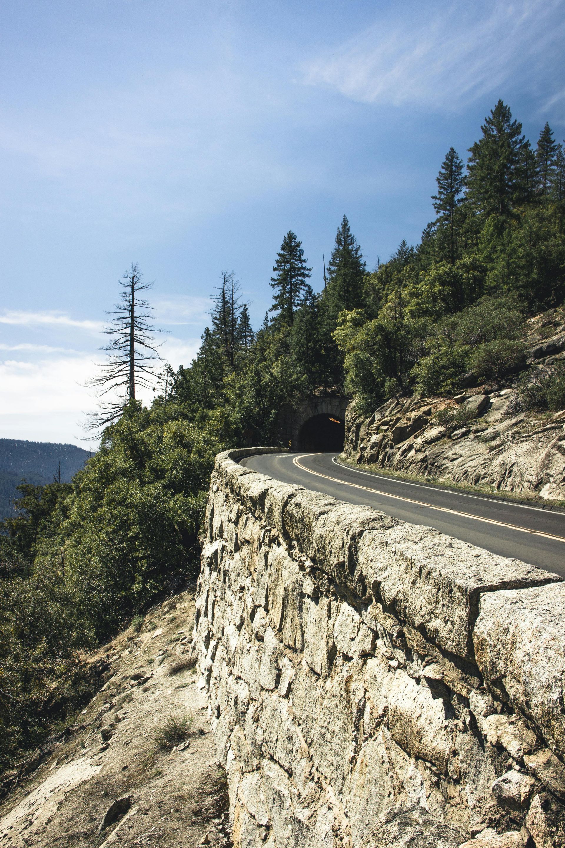 Scenic road on ledge of the hill surrounded by lush green pine trees