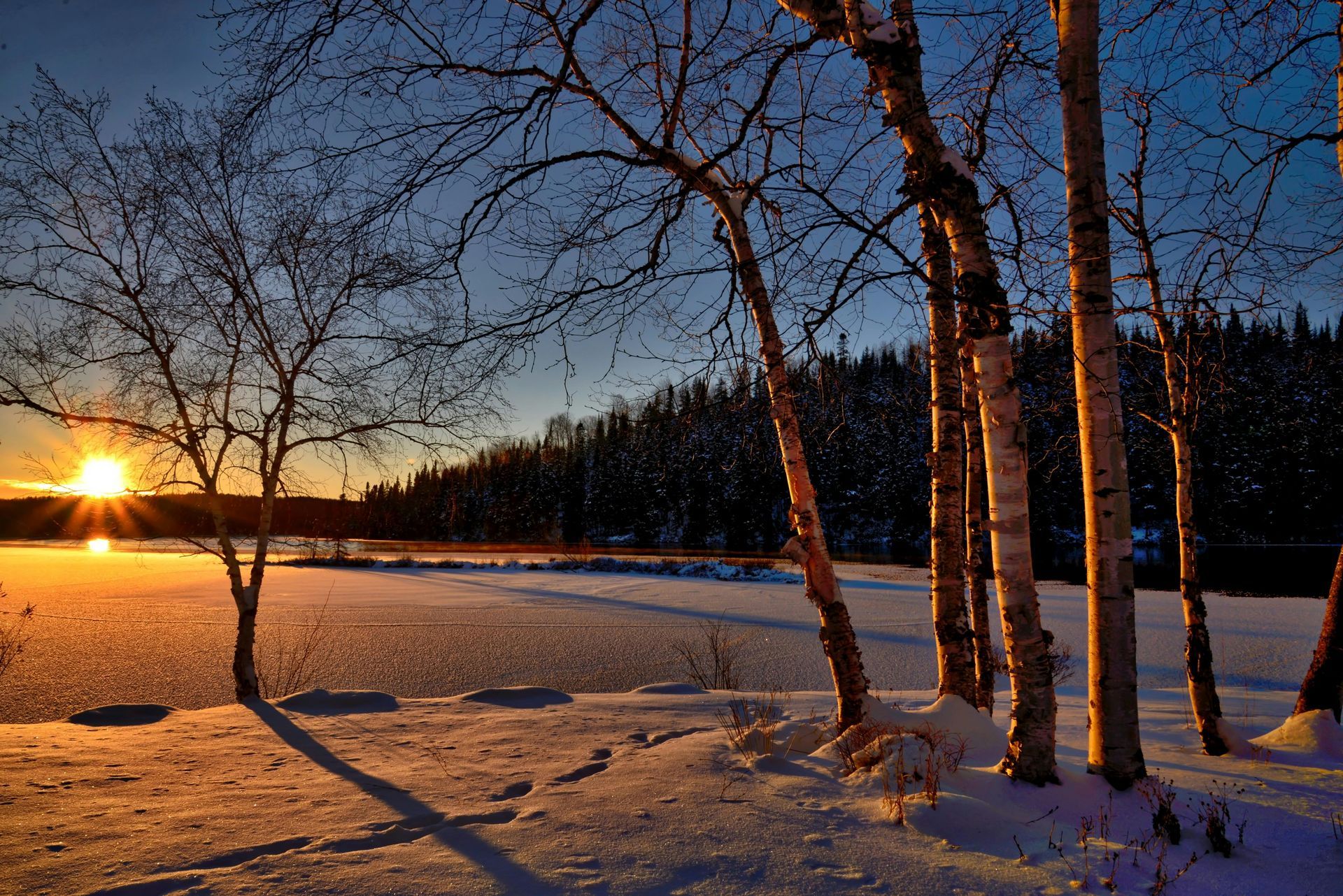 Open field covered in snow with tall trees and sunset in the background