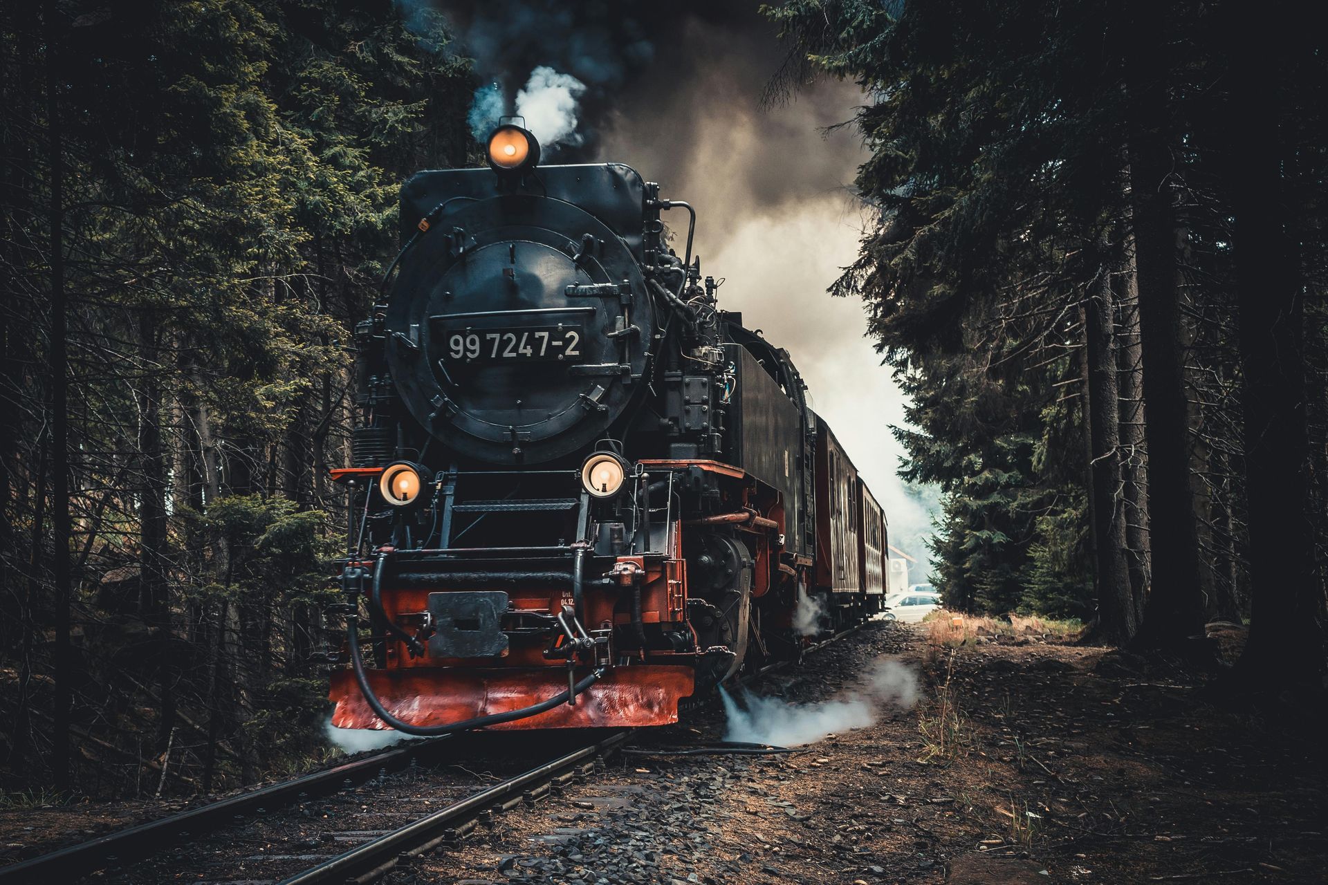 Train going through the woods with lush, tall pine trees 