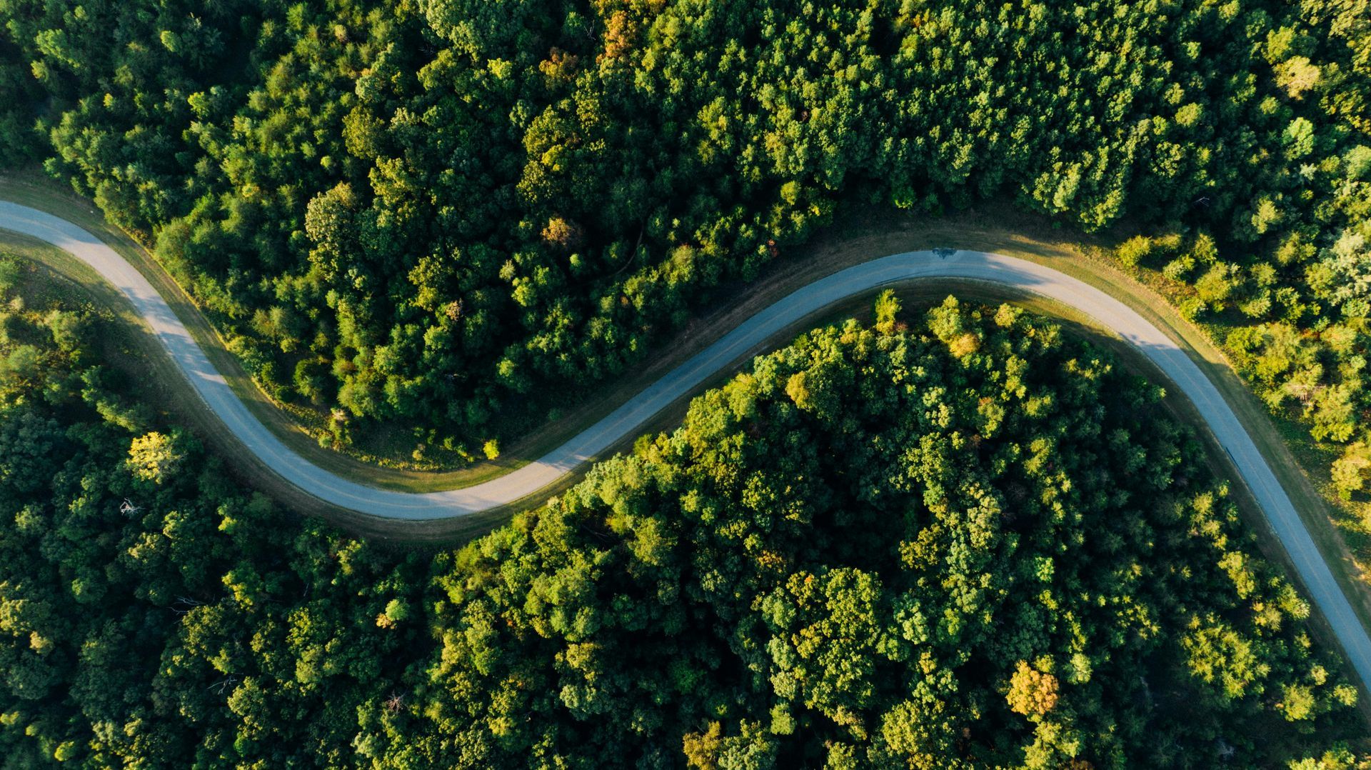 Motorcycle parked in the middle of a road in between bright green trees