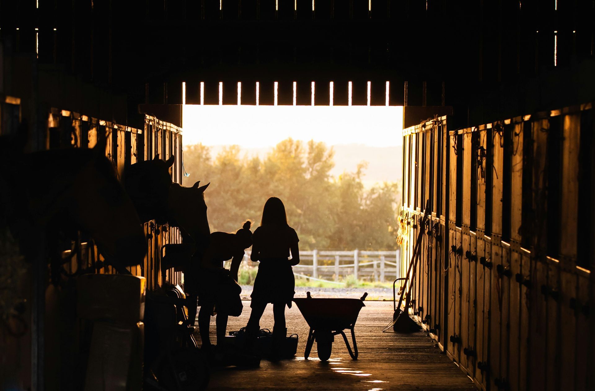 Rancher in a horse stable preparing for an evening of entertainment