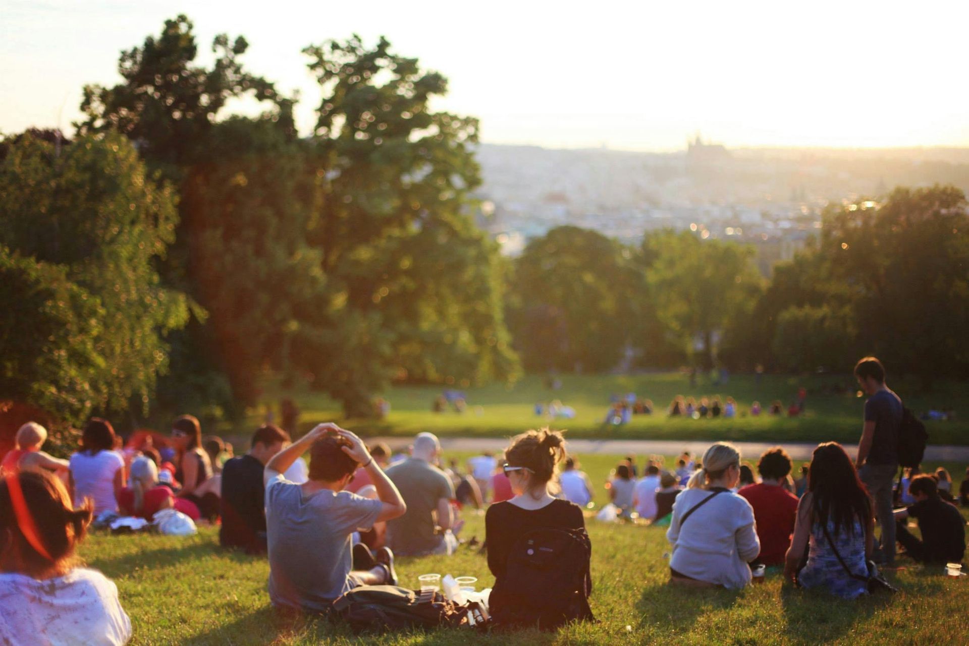 Different groups of people sitting on green lawn enjoying picnics on a sunny day