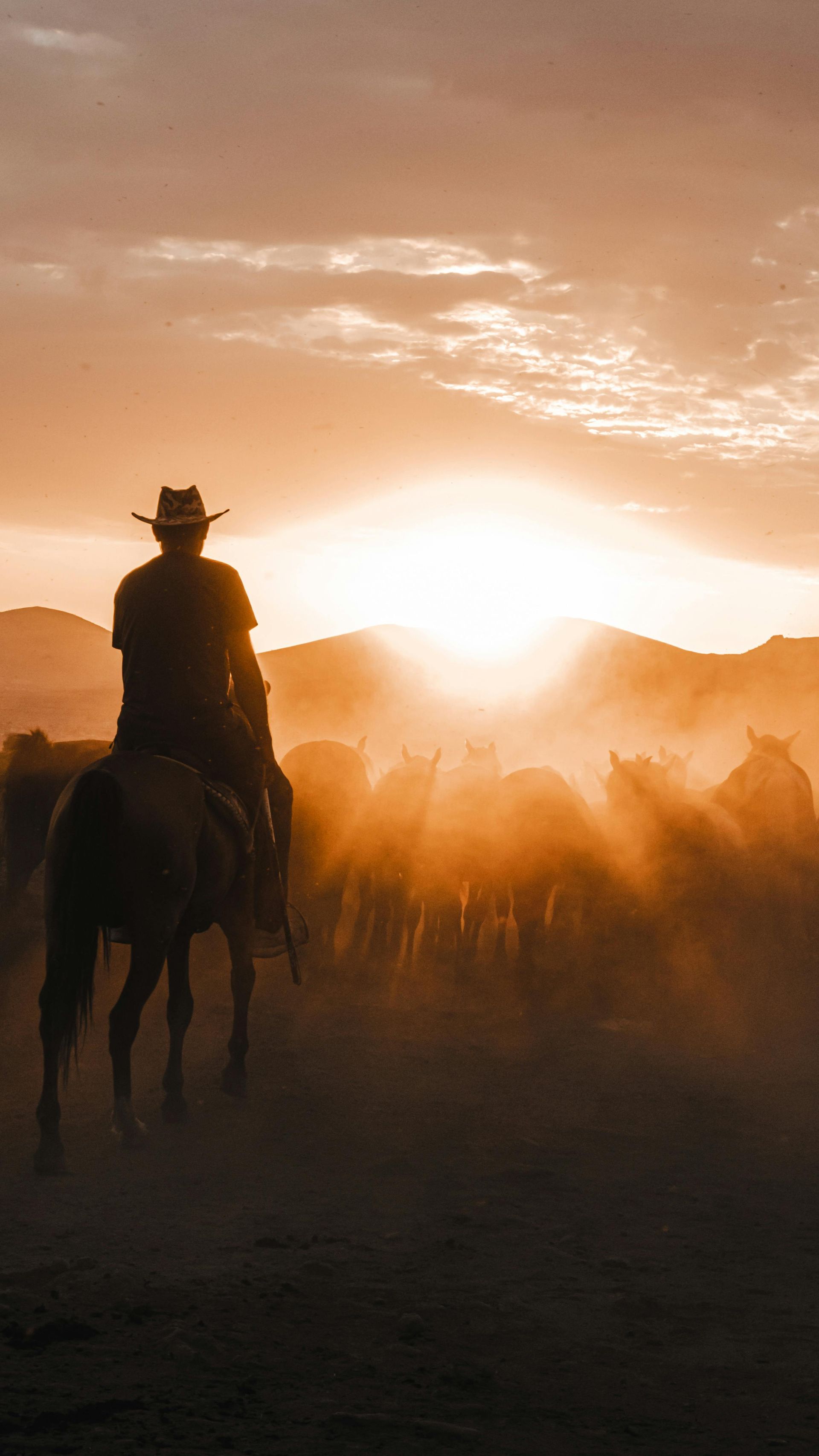 Person riding horse during the sunset
