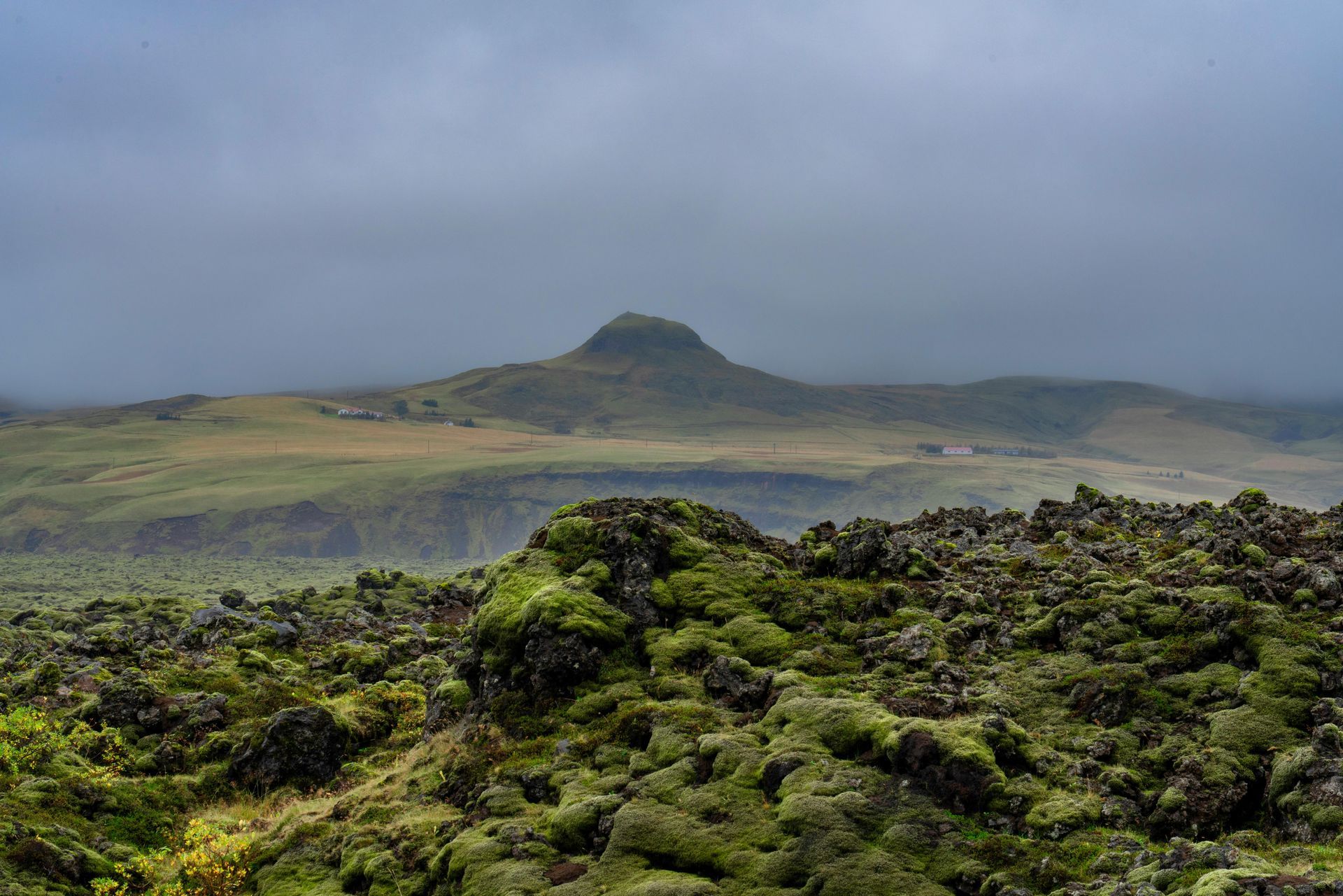 Beautiful views of rolling hills and trees