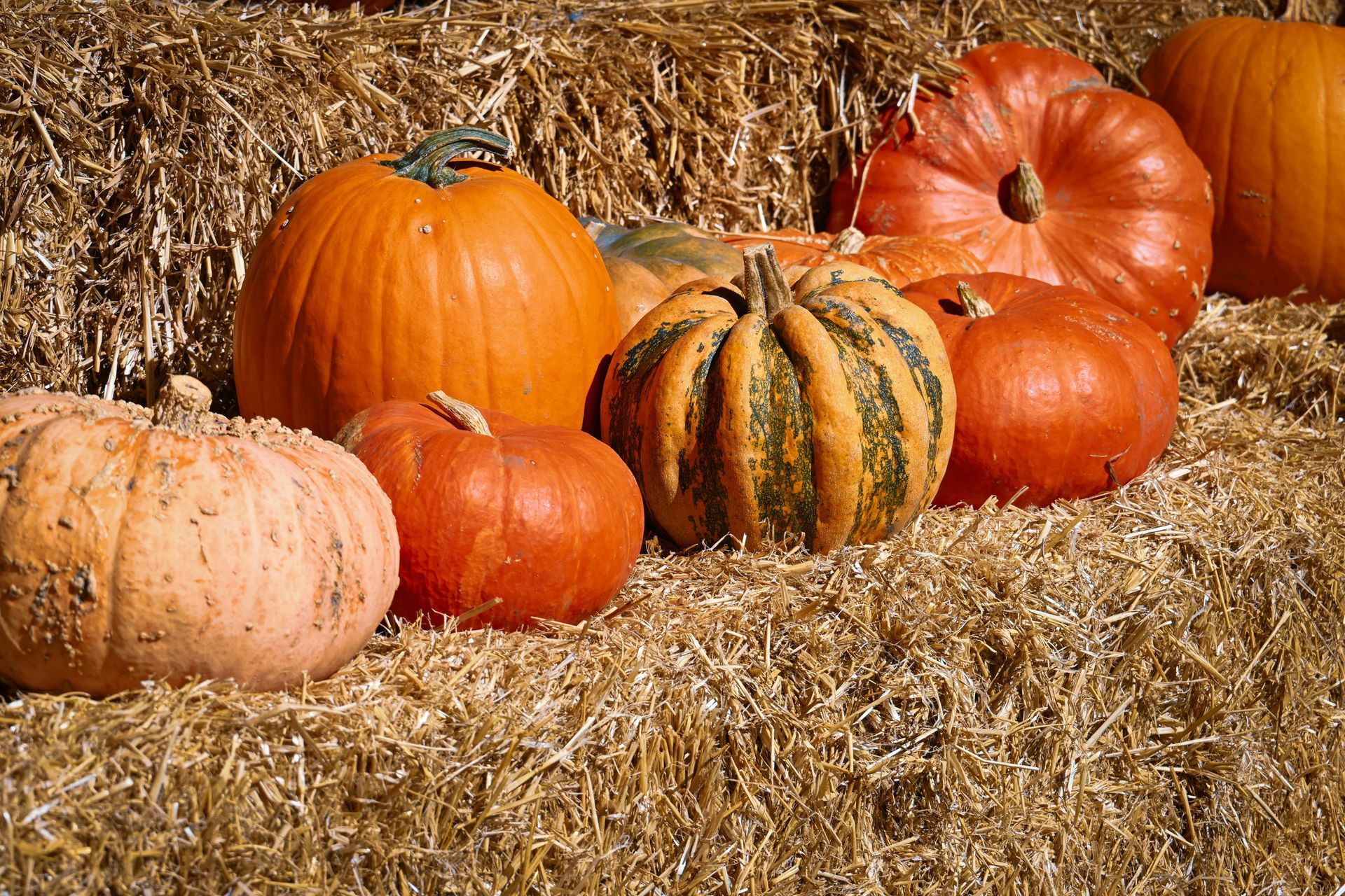 Group of pumpkins sitting on barrels of hay