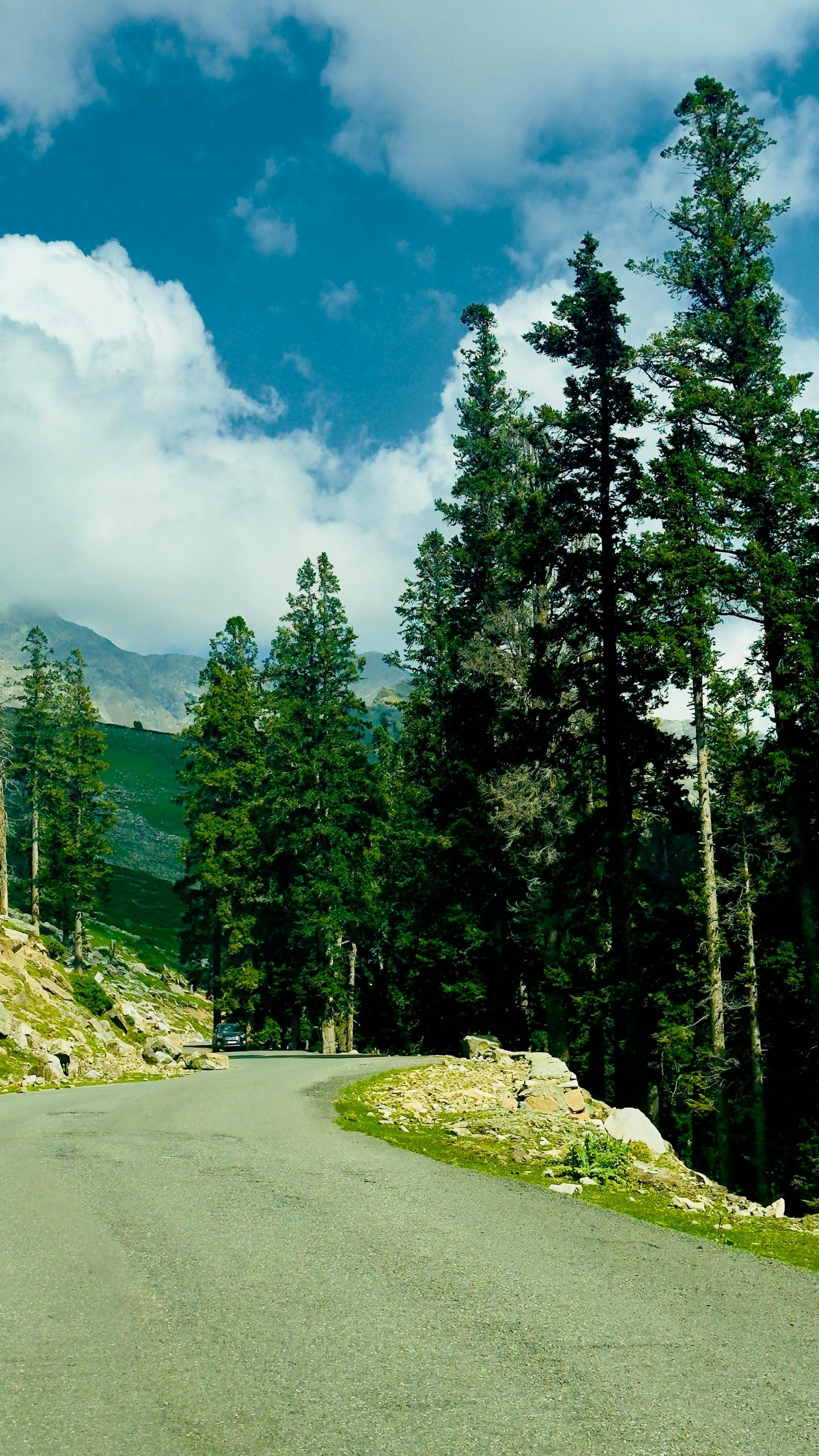 Winding road on a scenic drive through the mountains