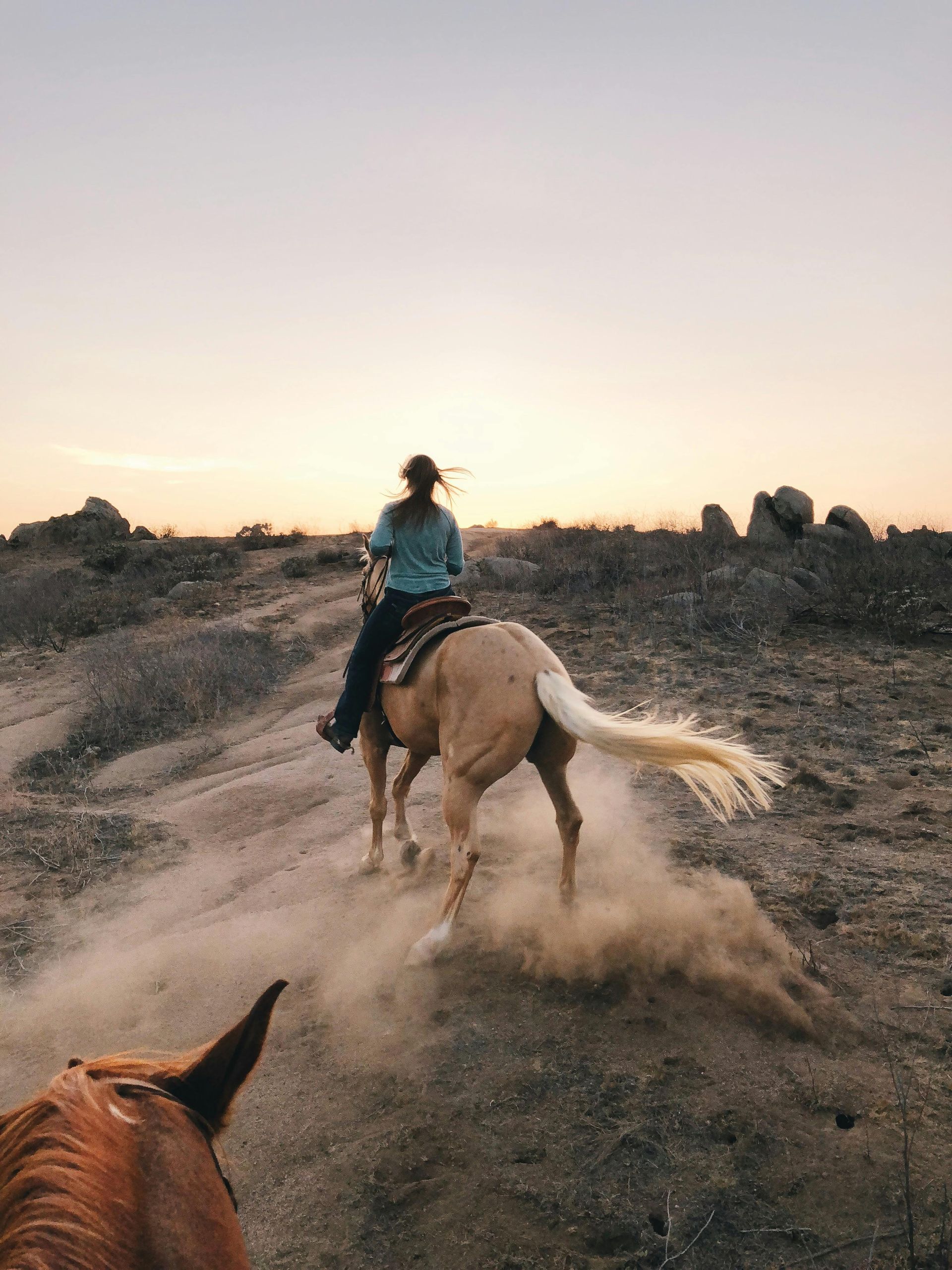 Woman riding horse on a dirt trail towards the sunset in the background