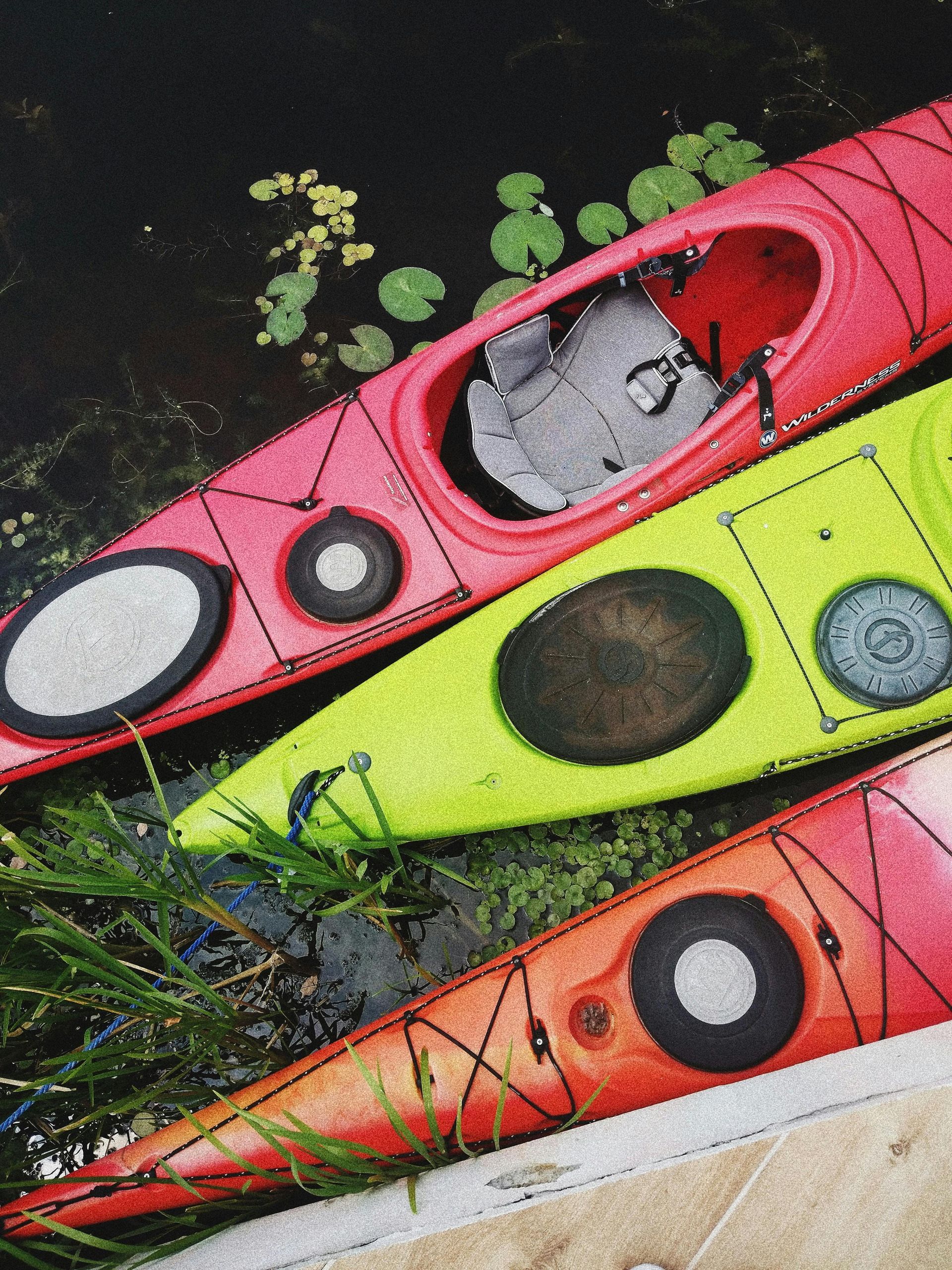 Kayaks sitting in water together with lily pads