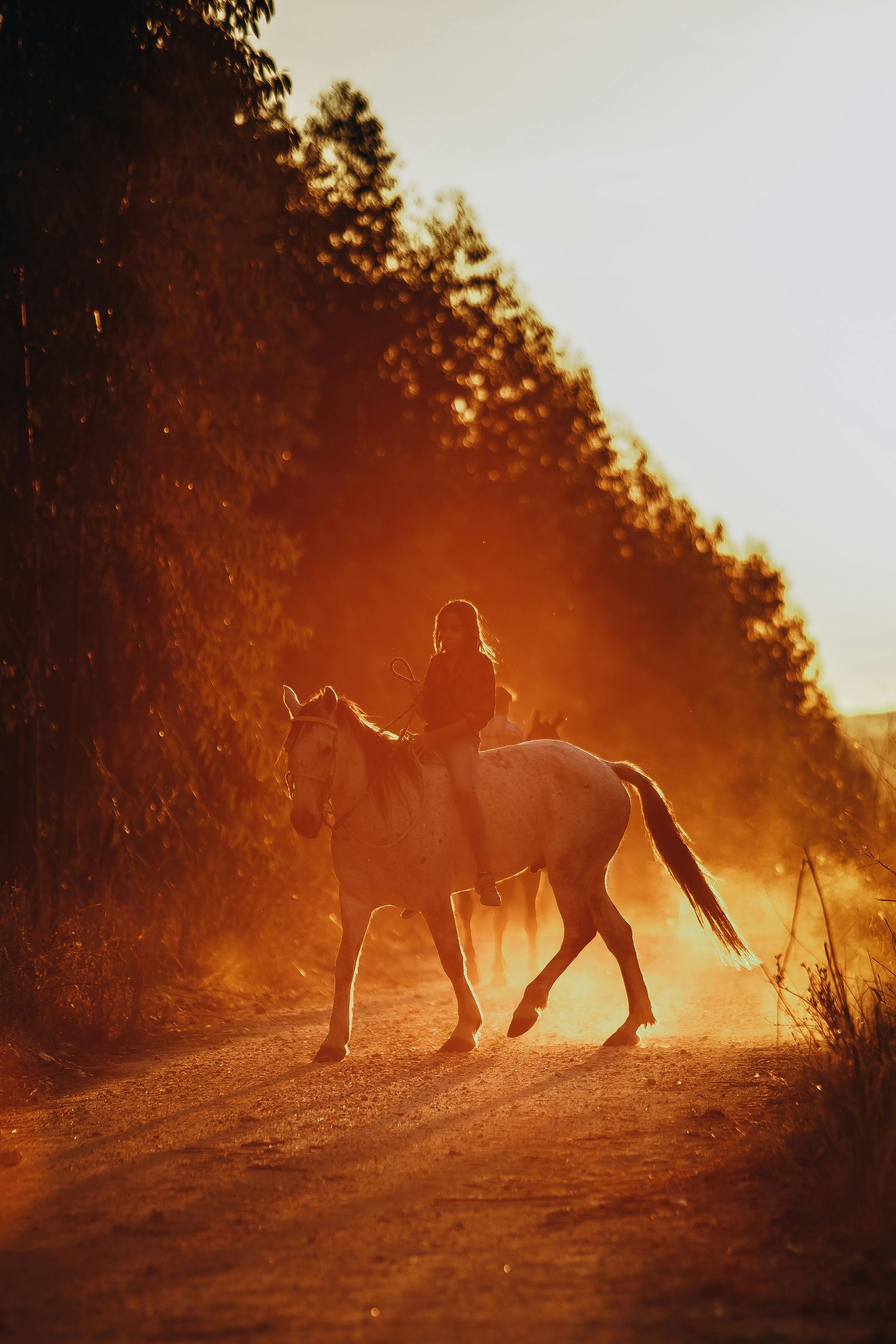 Person riding horse in the dirt with sunsetting and trees in the background
