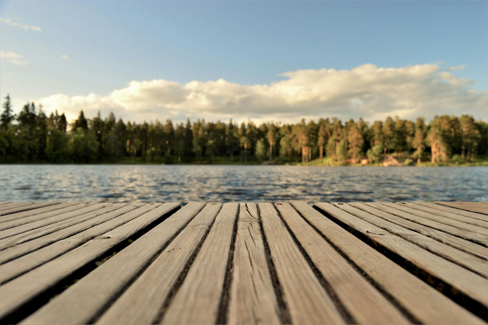 Wooden dock sitting on calm water and pine trees and blue skies in the background
