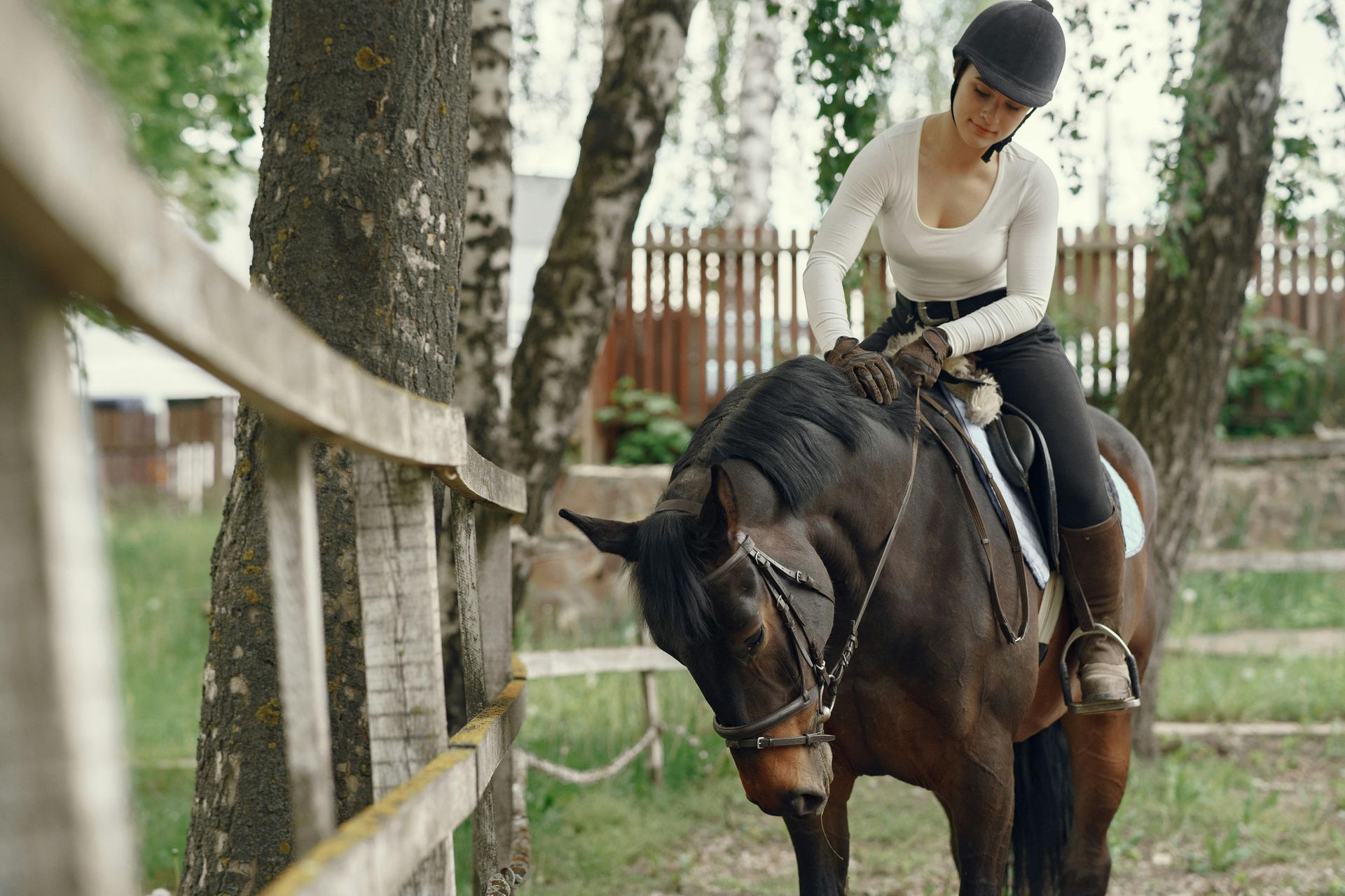 Woman sitting on horse with a fence surrounding them 