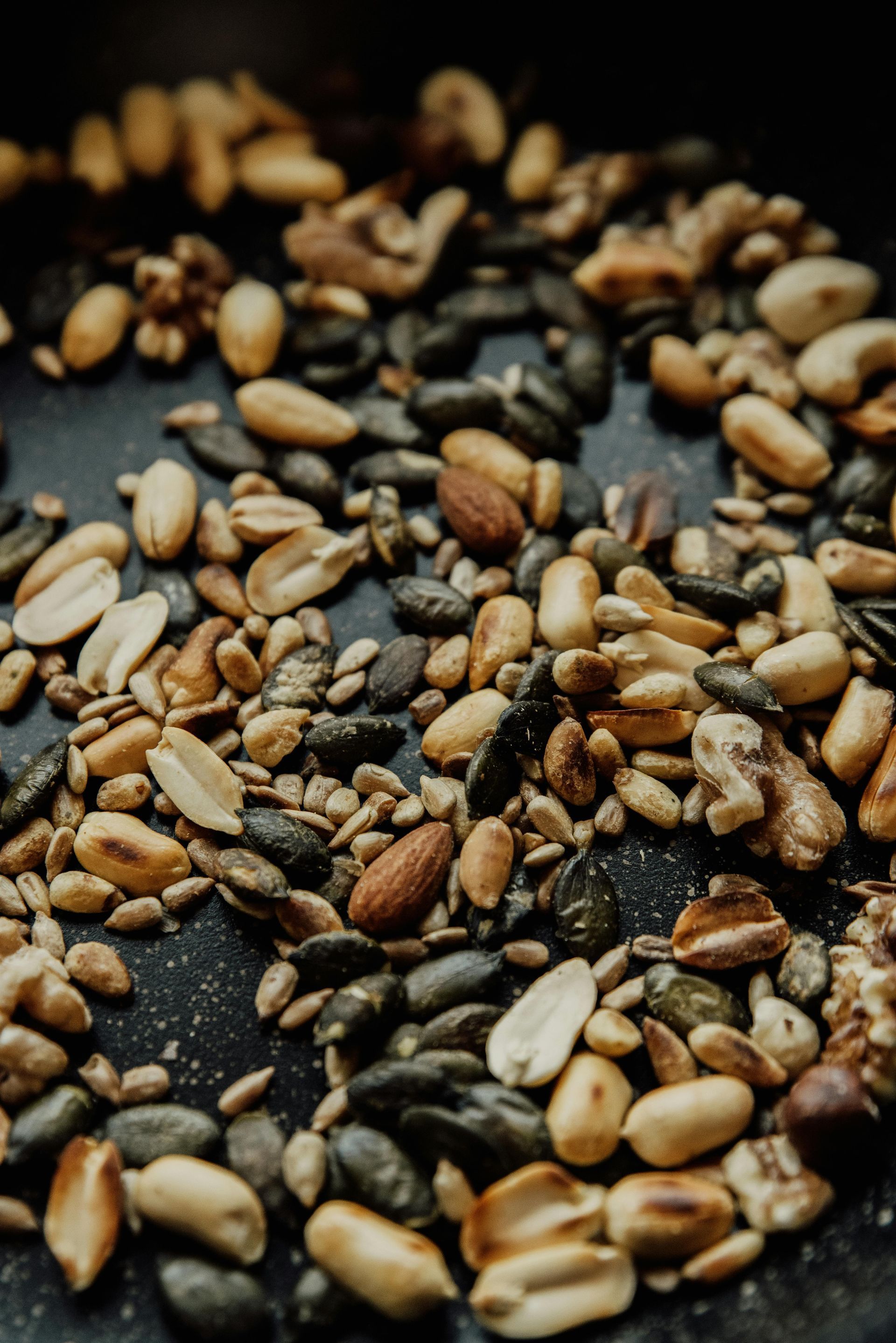 A variety of seeds and nuts perfect for a snack while wildlife viewing