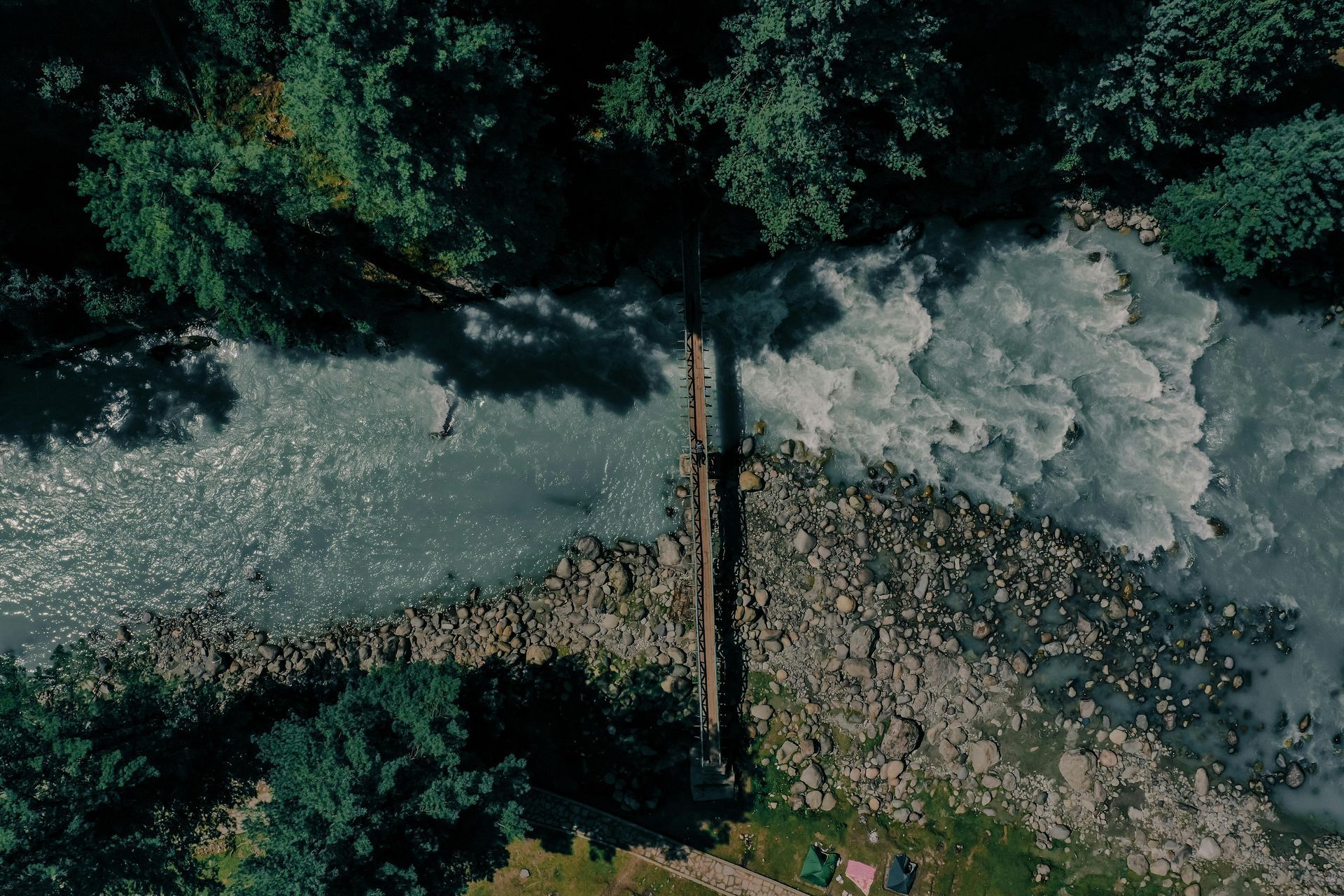 Aerial view of rushing river and rocky shoreline, with lush green pine trees