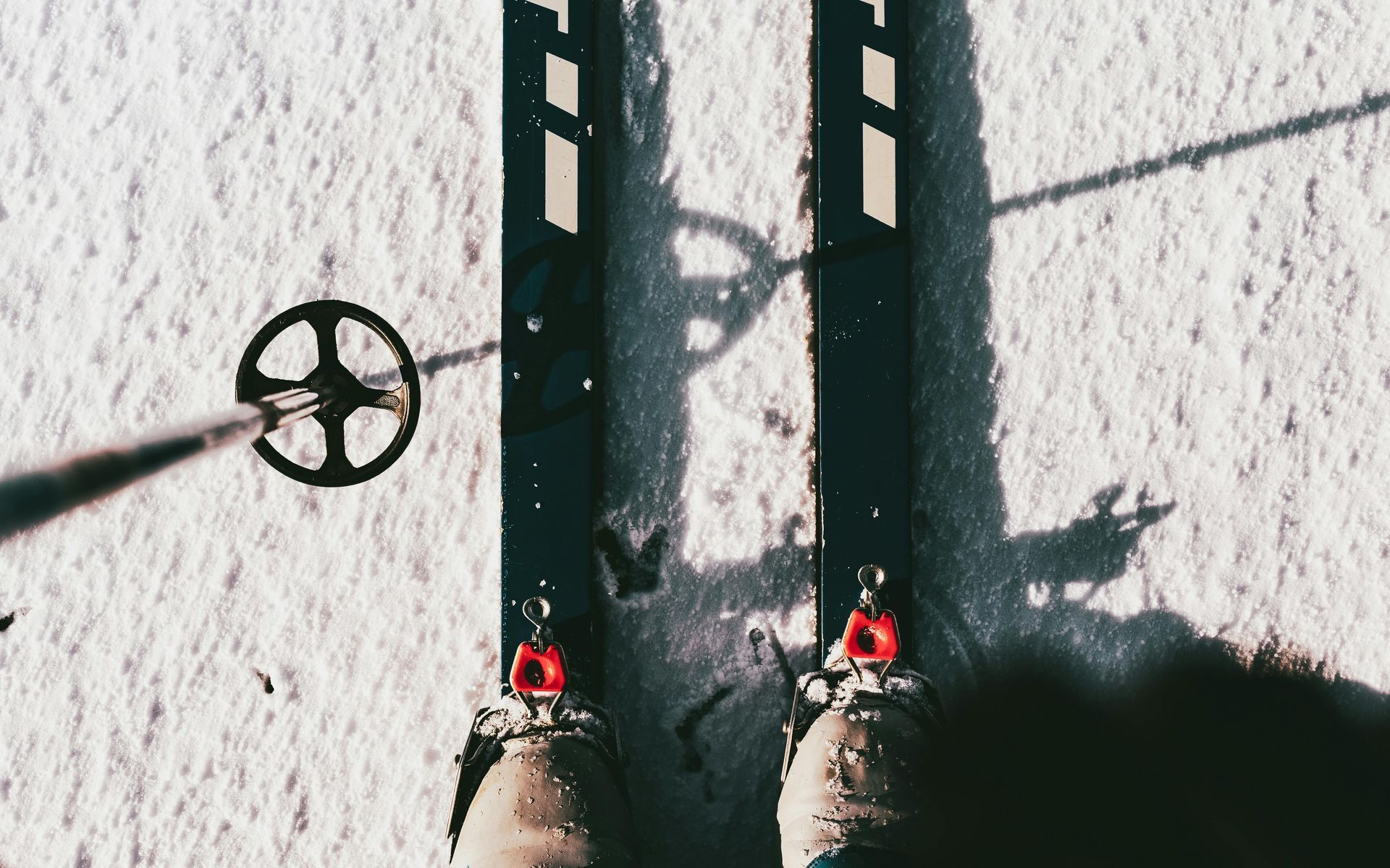 Cross-country skis and trekking poles in the snow