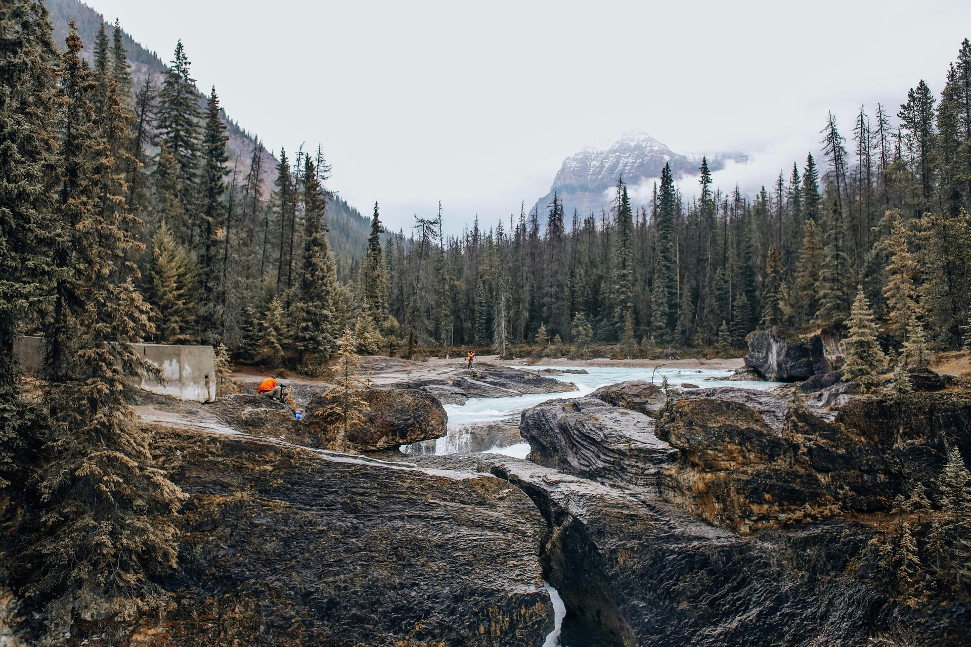 River in the woods, surrounded by pine trees and mountains