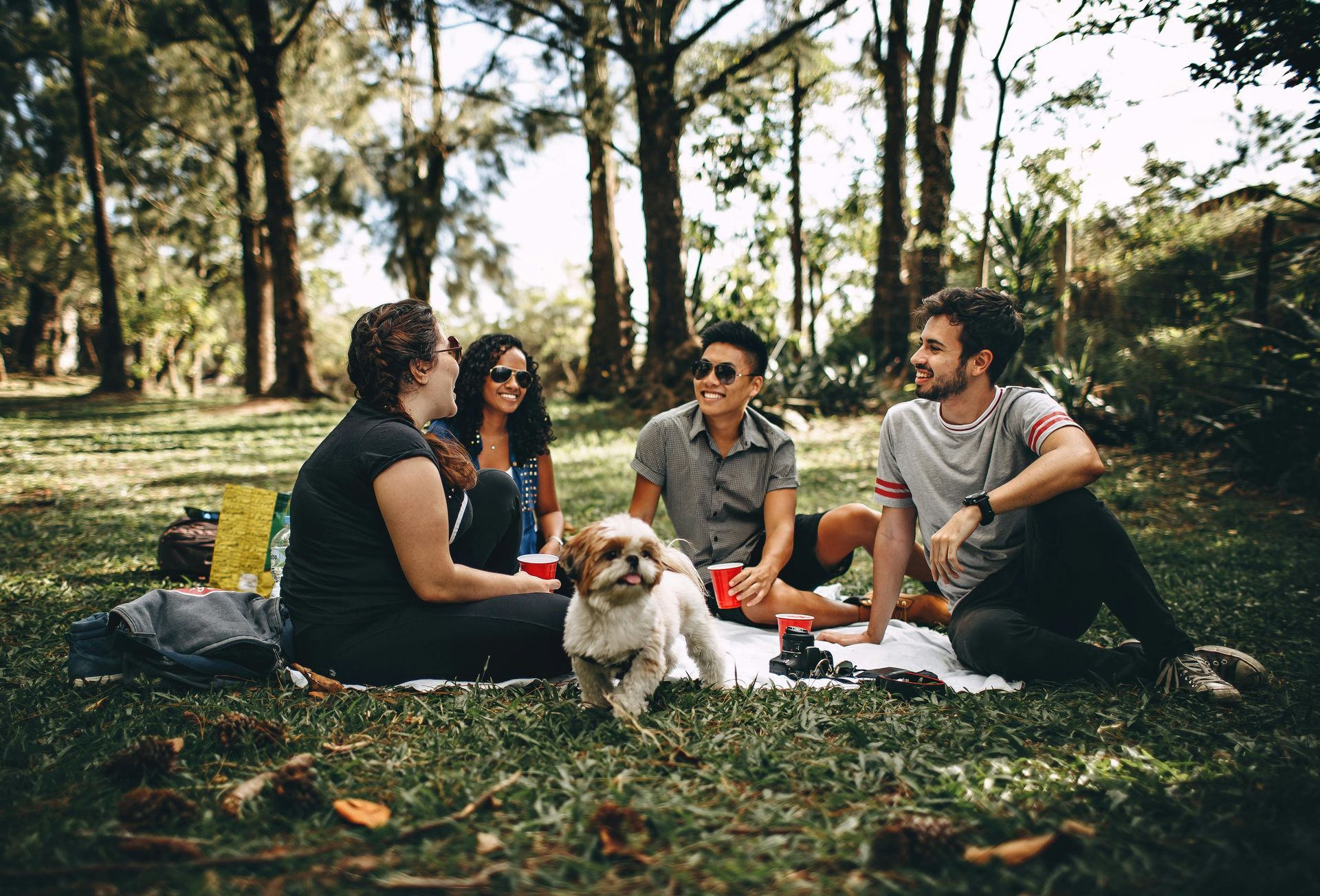 Group of people enjoying picnic outdoors in the woods with small dog