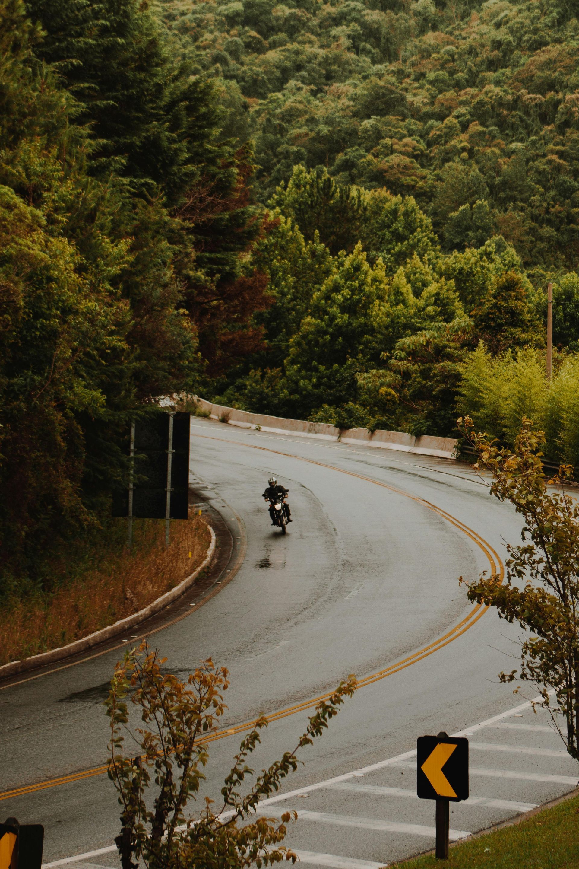 Man riding motorcycle on wet road throughout lush pine trees