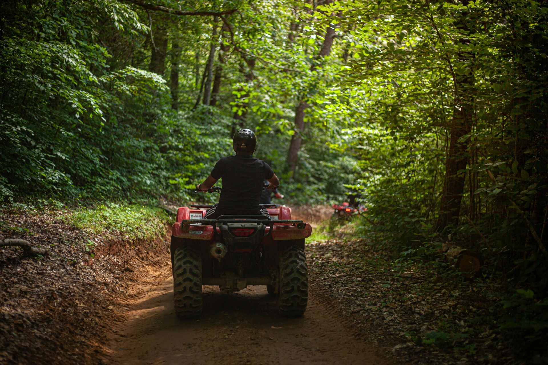 Person riding ATV on a trail, throughout the trees of the Black Hills