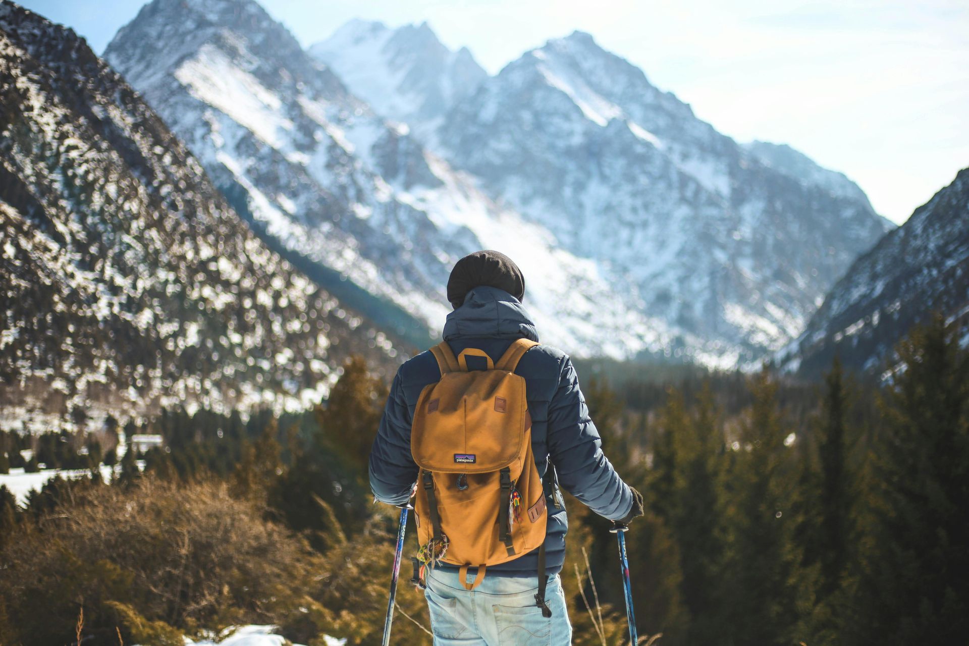 A person with snowshoeing poles staring out into the mountains