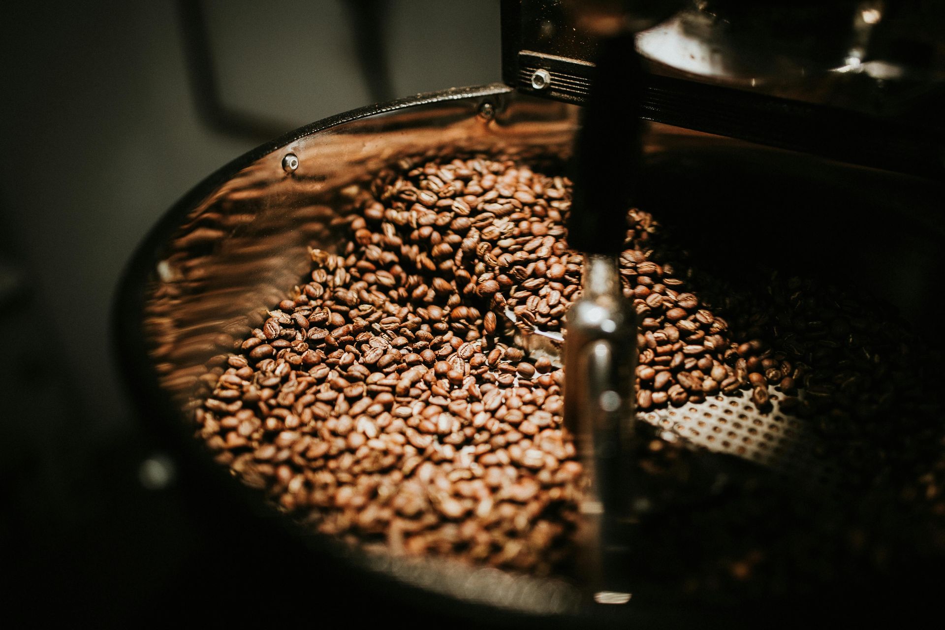 Ground coffee beans in a coffee shop