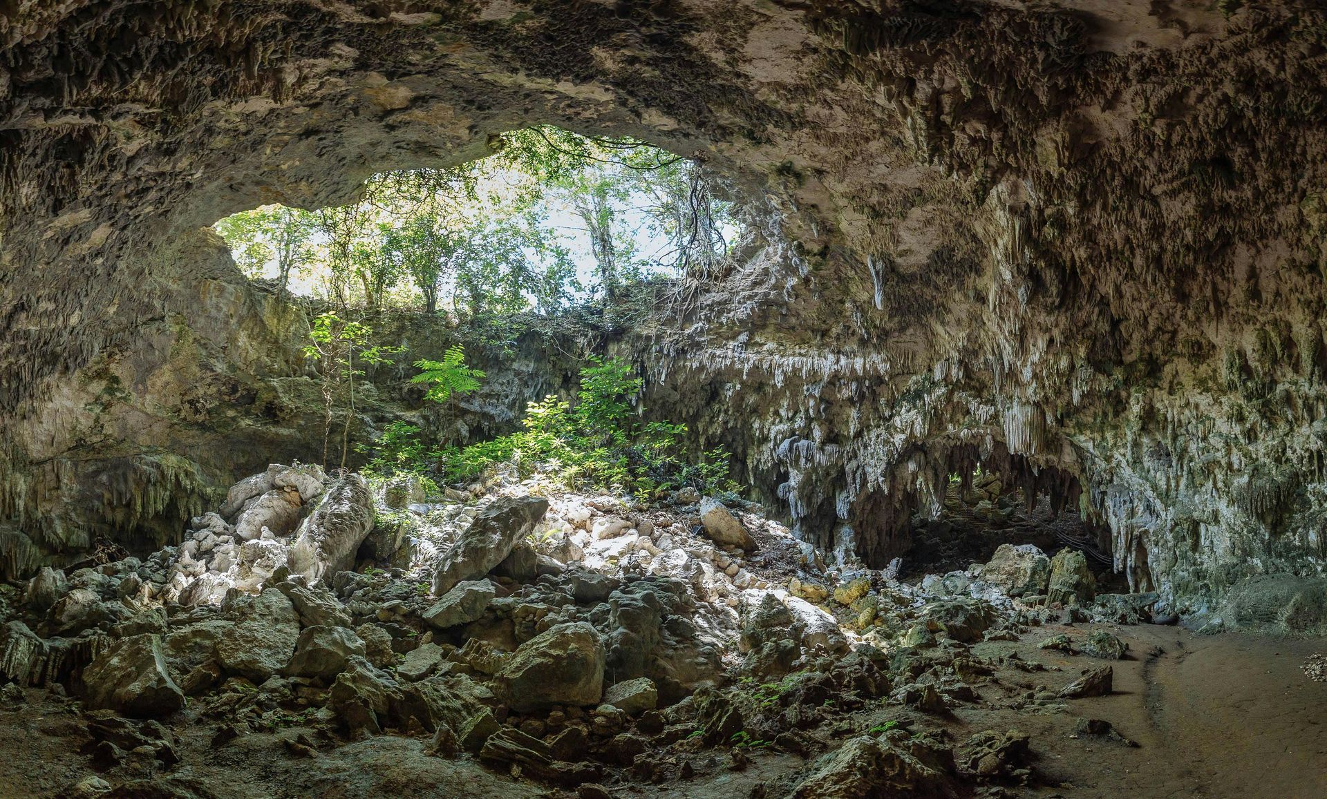 Shallow rock cave with sun shining through large hole and trees