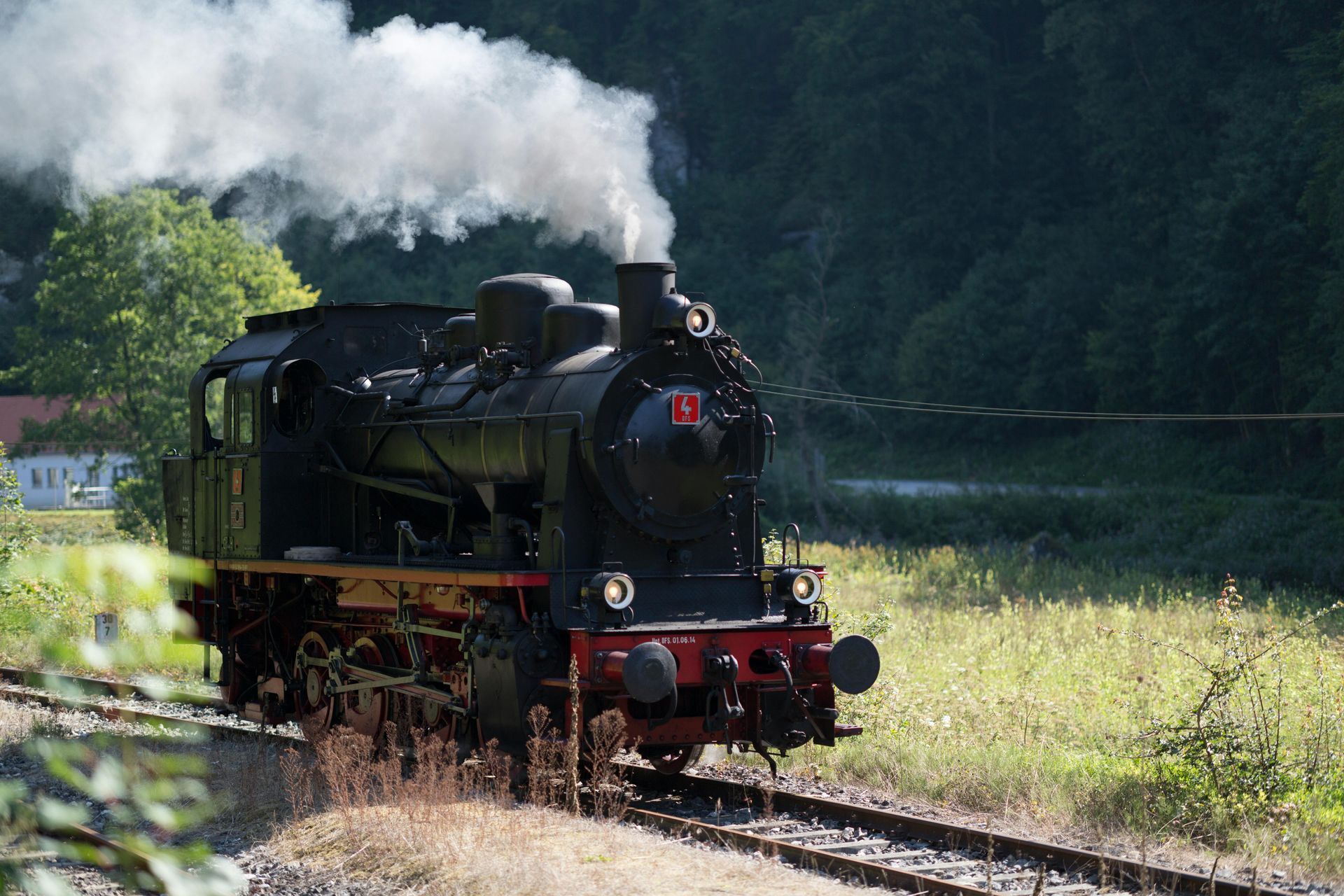 Train passing on the tracks with full steam coming from the engine
