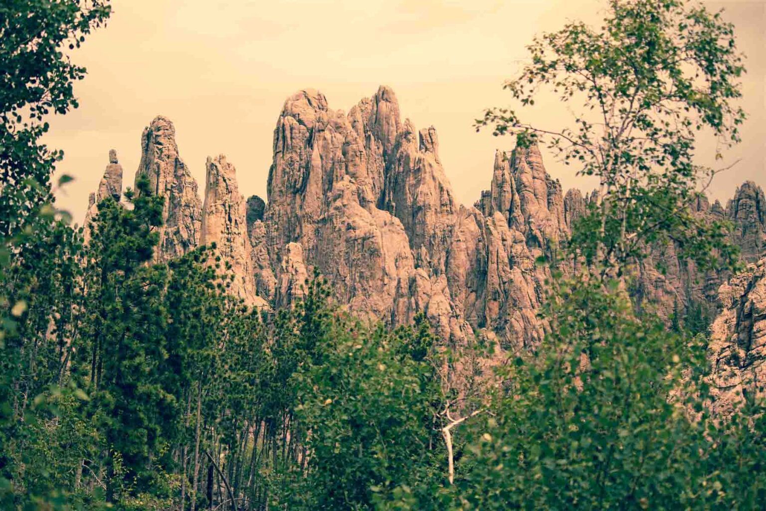 Rock formations with colored sky and lush trees in foreground