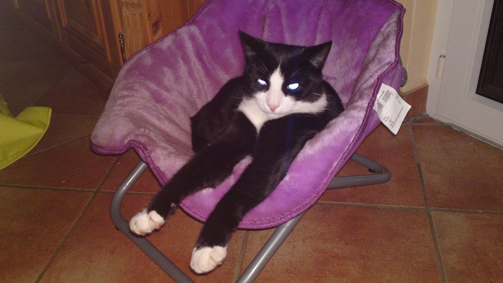 Tier- und Hausbetreuung Yvonne Müller - Nusshof