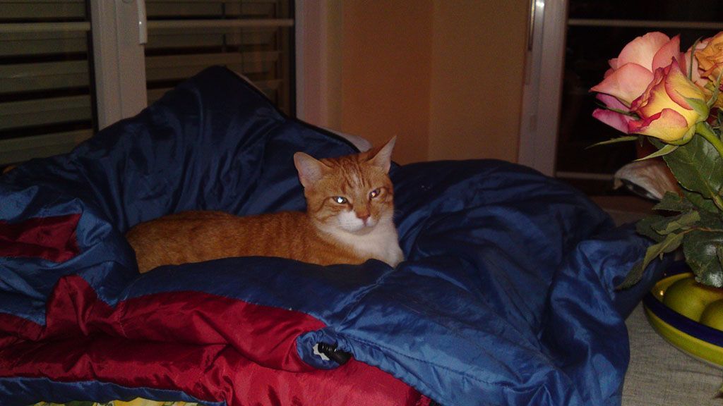 Tier- und Hausbetreuung Yvonne Müller - Nusshof