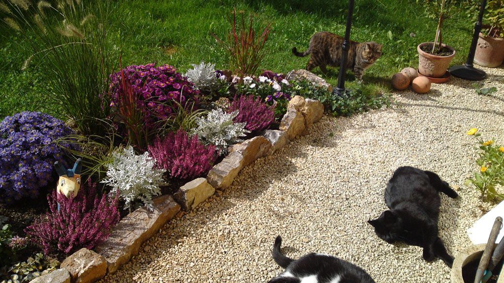 Tier- und Hausbetreuung Yvonne Müller - Nusshof