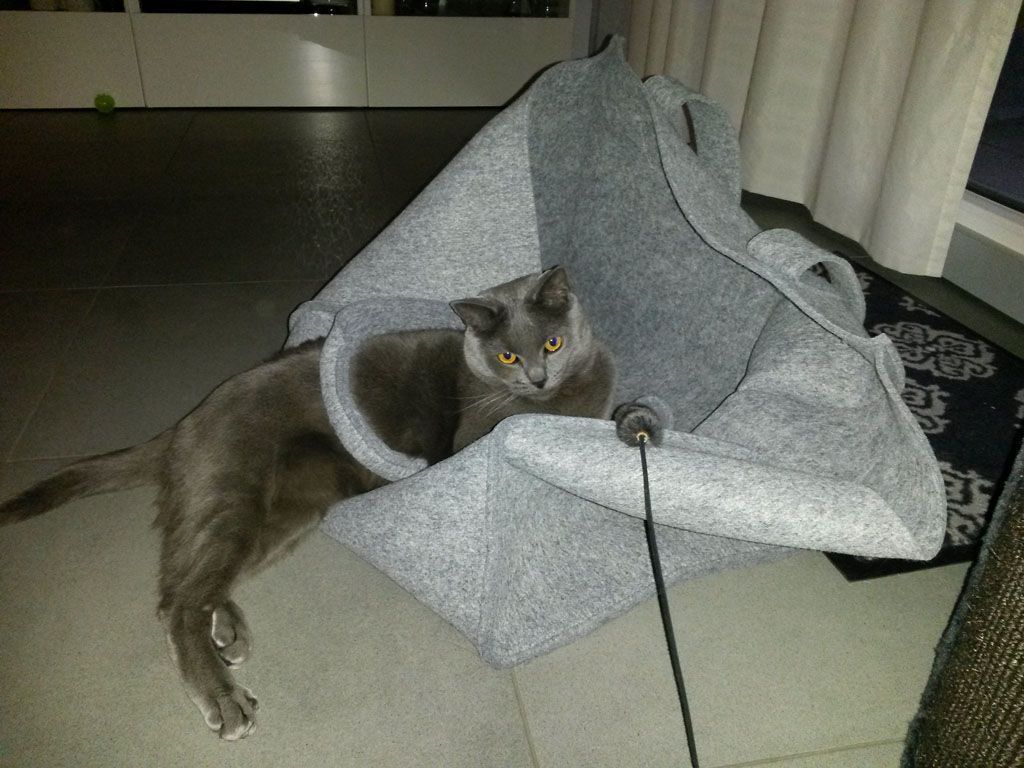 Tier- und Hausbetreuung Yvonne Müller - Nusshof