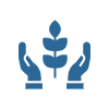 Zwei Hände umschließen Pflanze Icon