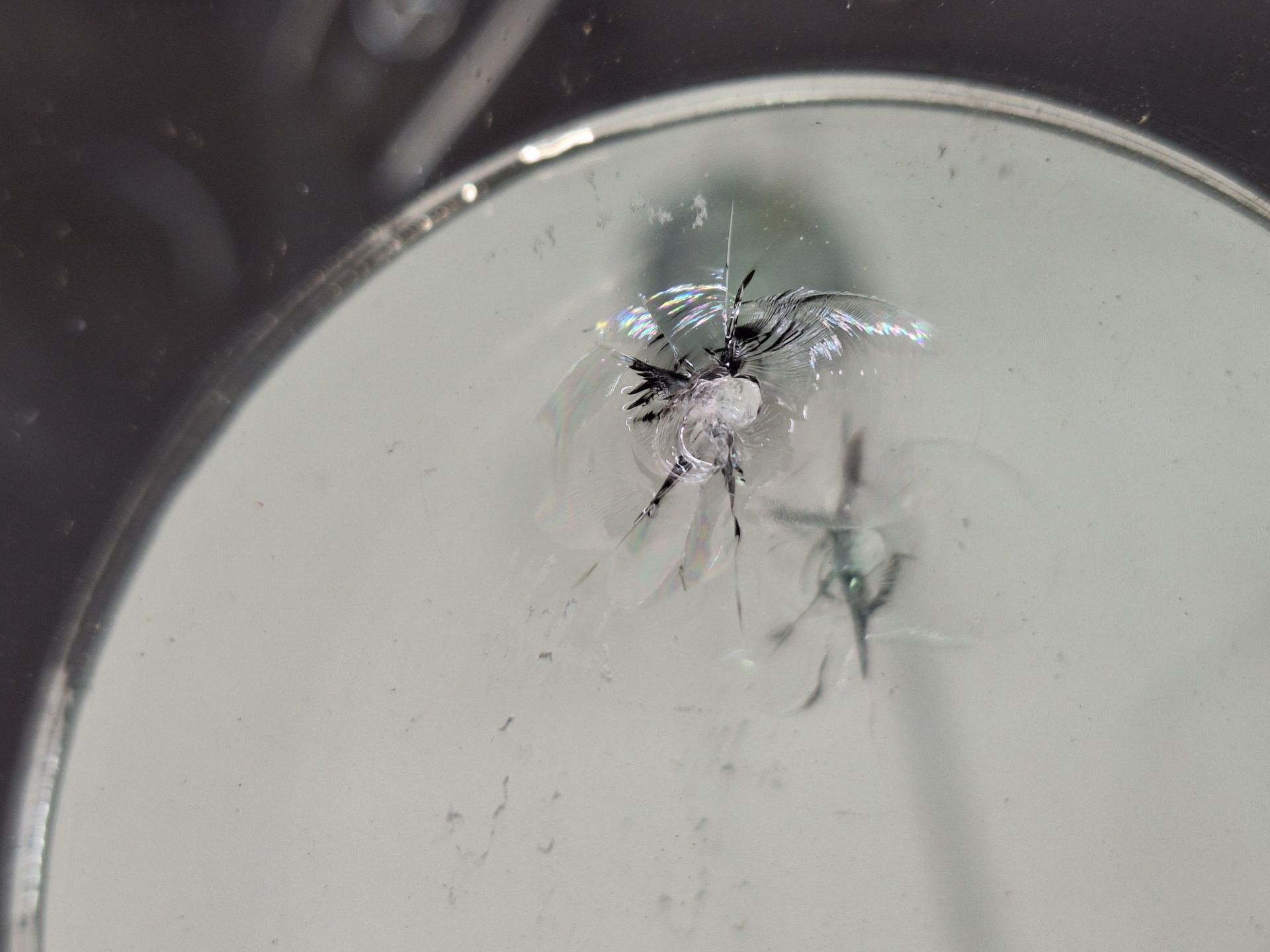 Steinschlag in der Scheibe