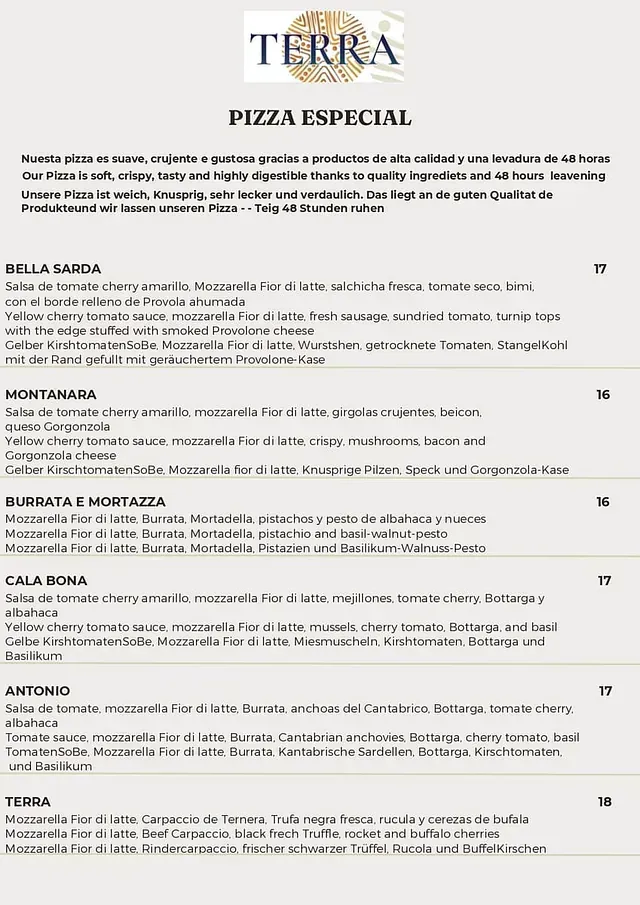 Un menú para un restaurante llamado terra pizza especial.